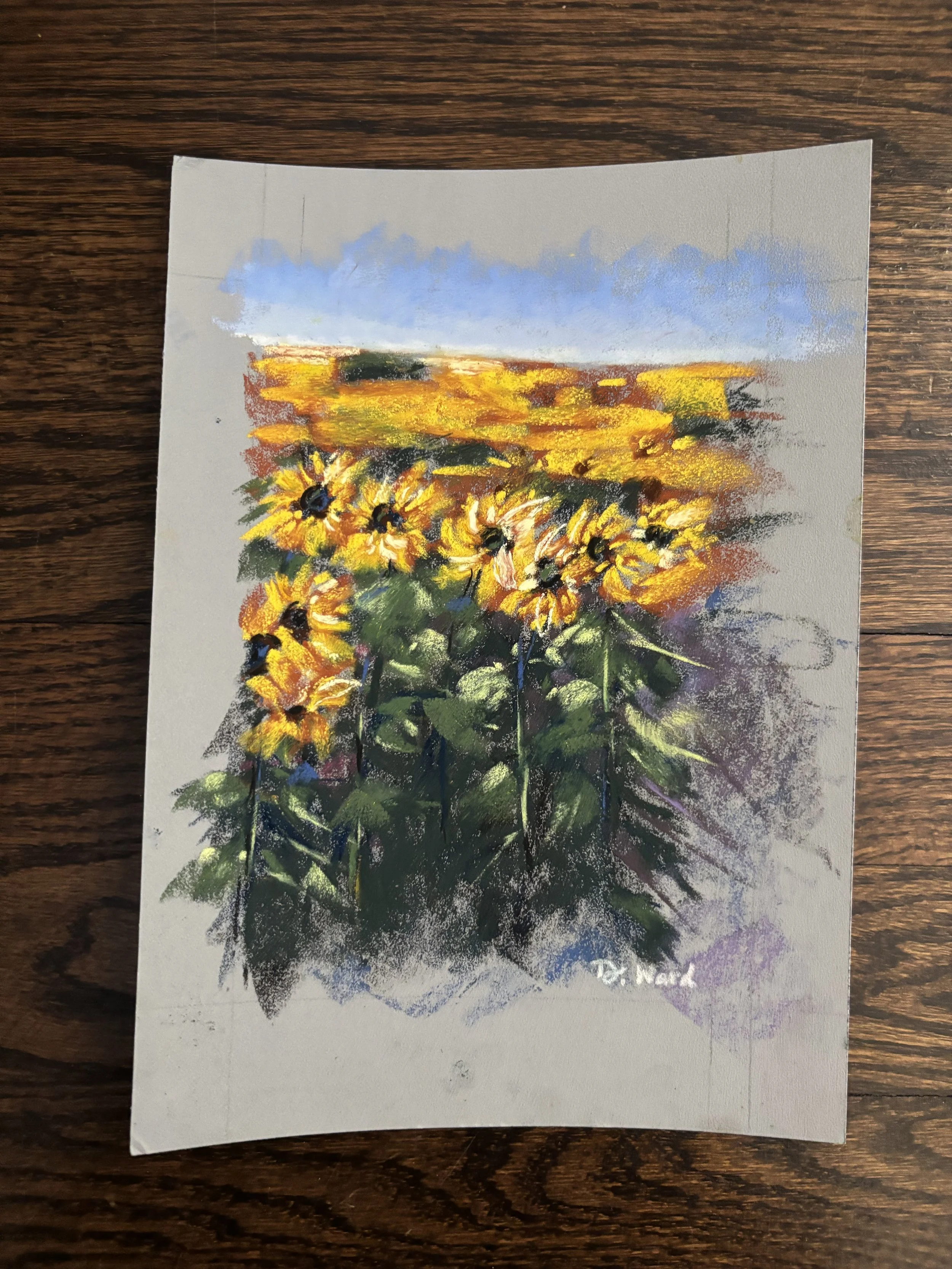 field of sunshine 1.jpg