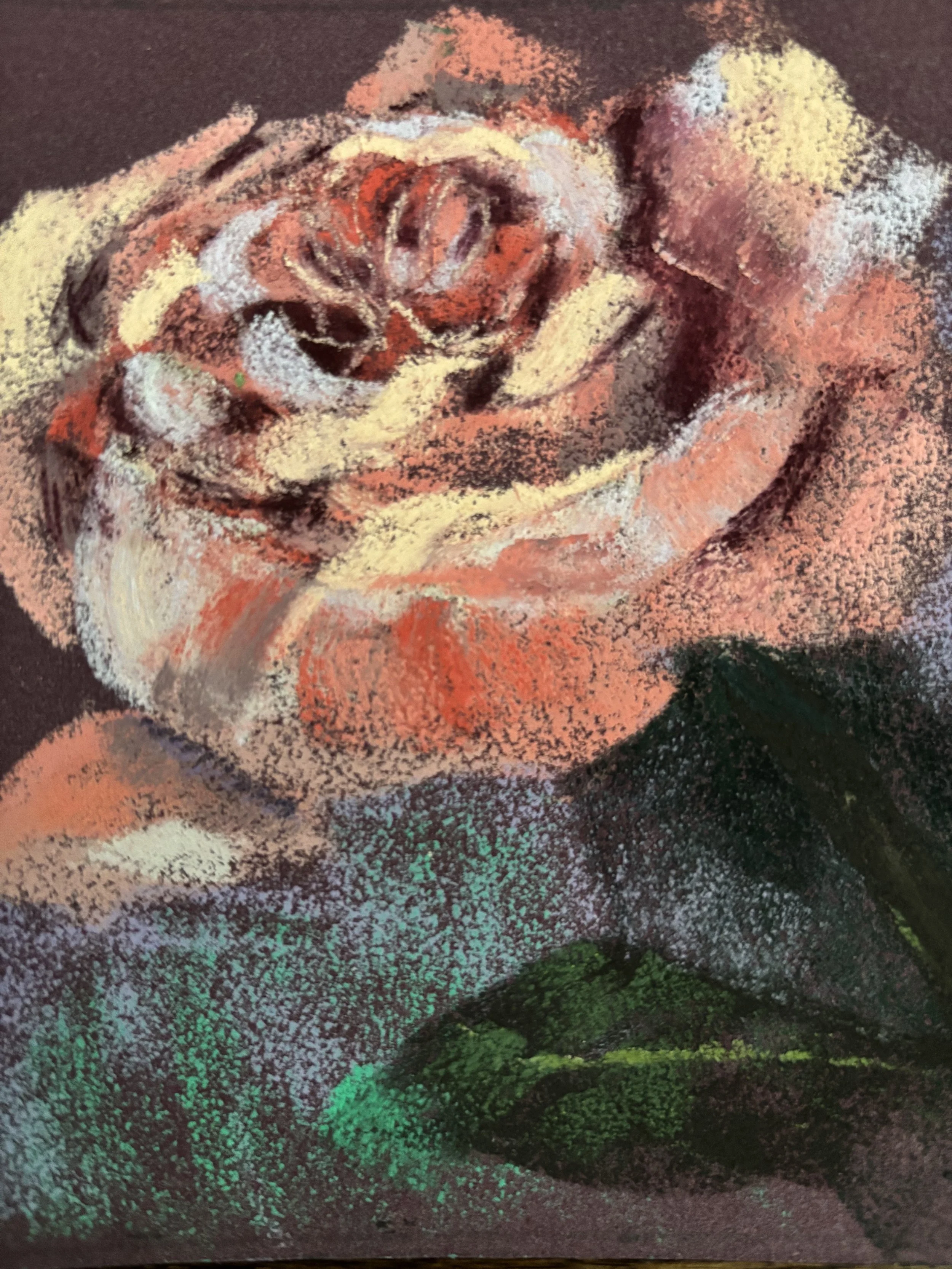 Rose 2_closeup.jpg