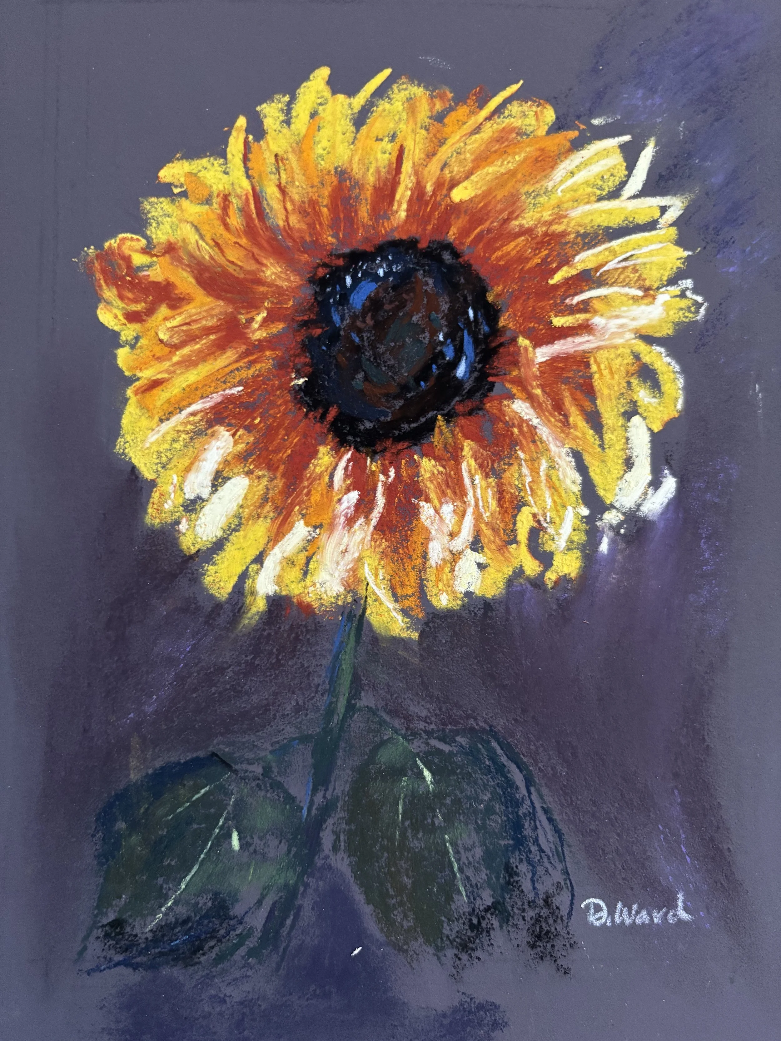 sunflower.jpg