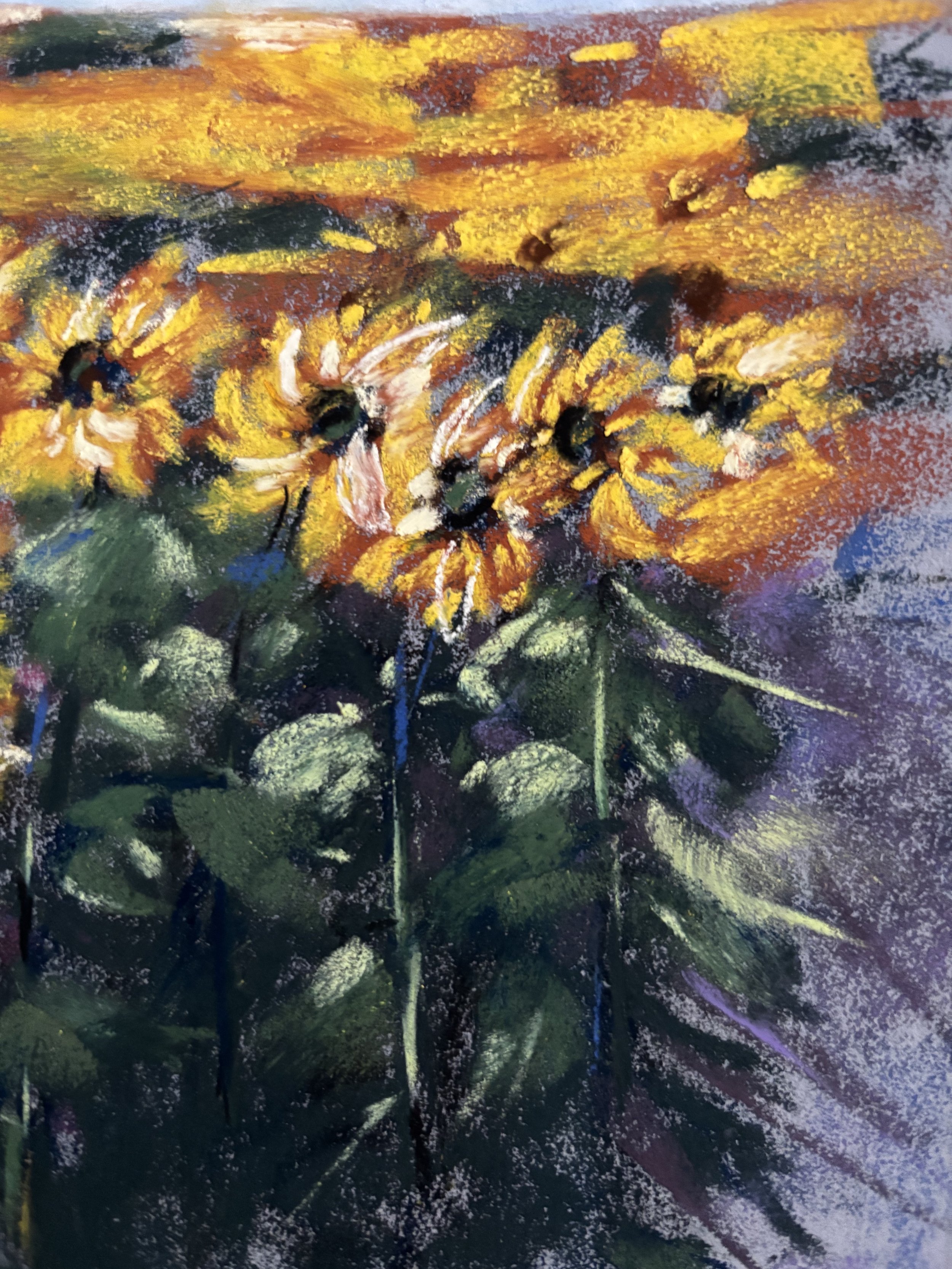 field of sunshine 1 closeup.jpg
