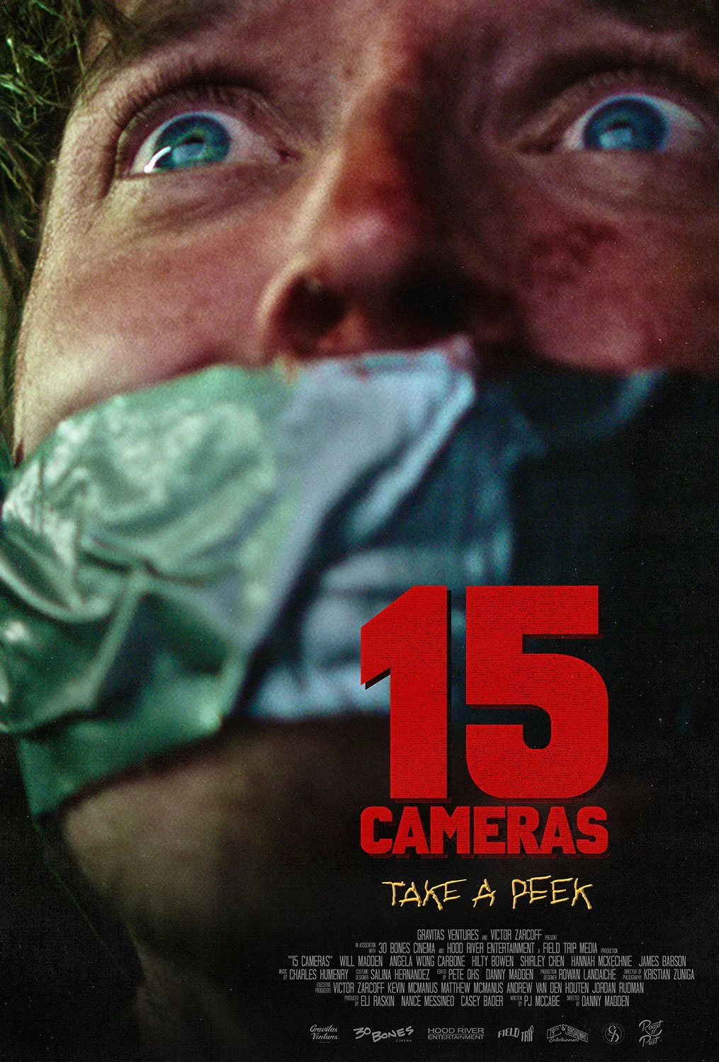 15 Cameras