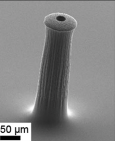 Carbon nanotube-polyimide composite micro-needle 