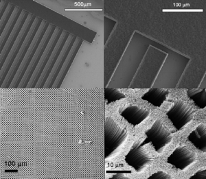 Vertical Carbon Nanotube Array