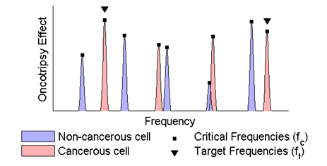 Oncotripsy