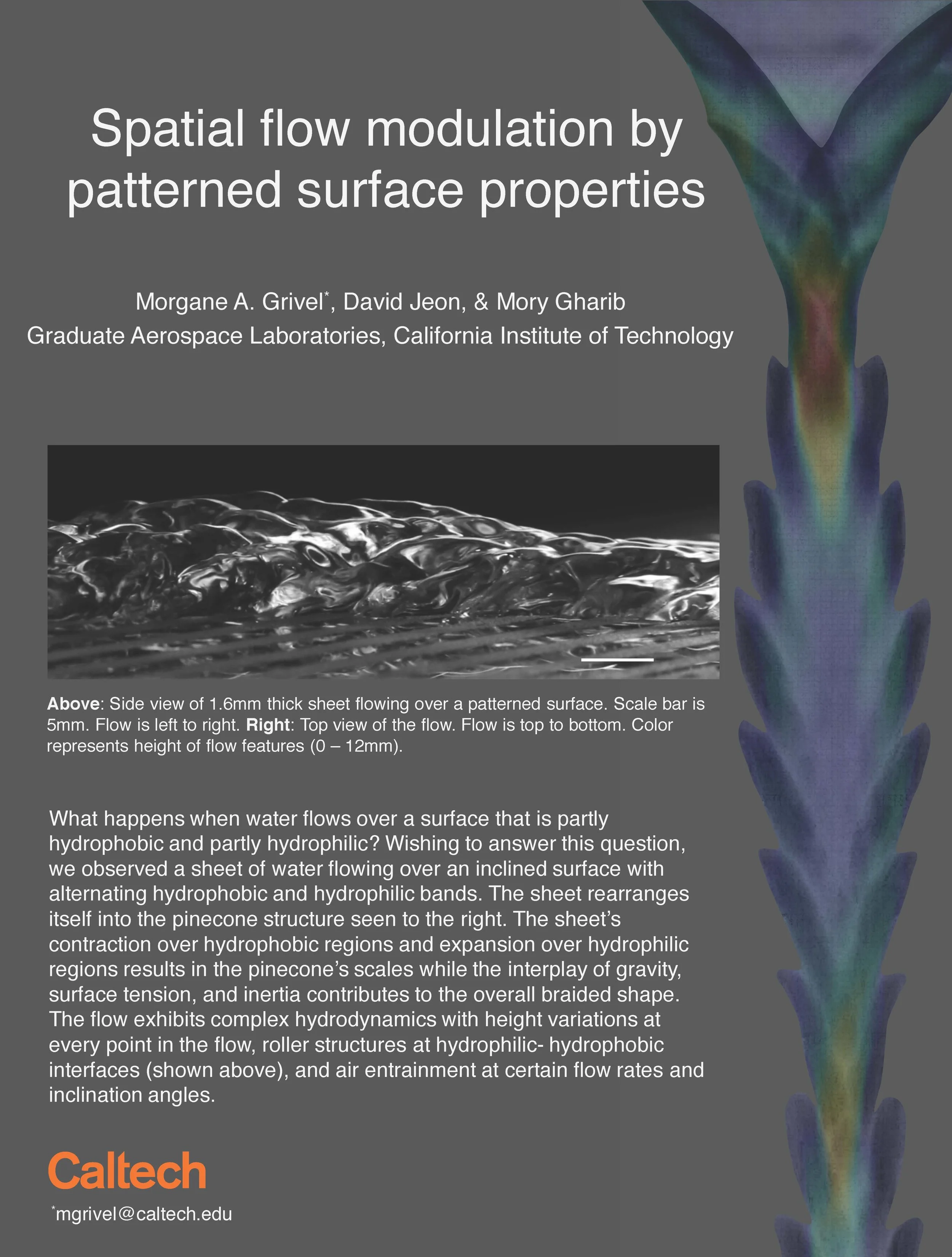 Presented at the 2015 annual American Physical Society's Division of Fluid Dynamics meeting in the Gallery of Fluid Motion. 