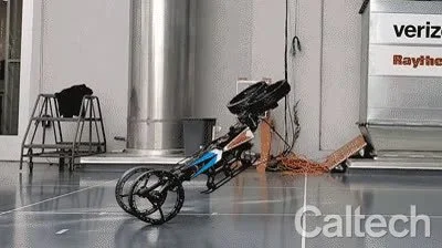 Multi-Modal Mobility Morphobot (M4)