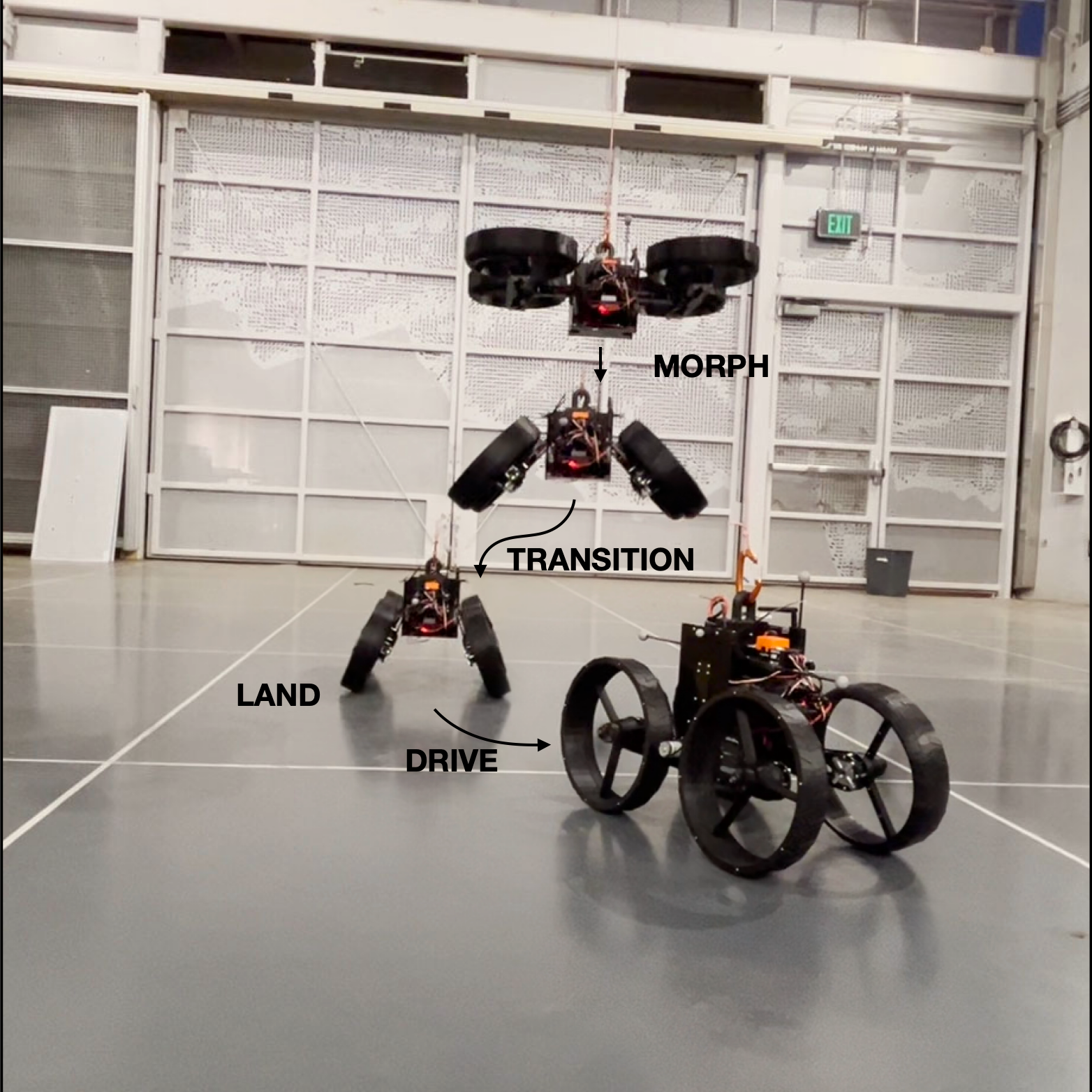 Robotic Flight