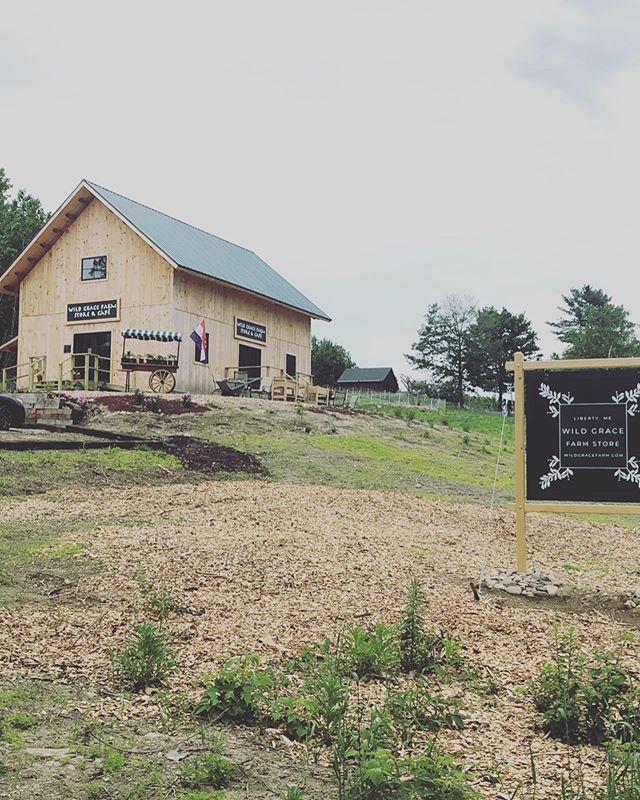 Half way down Rt 3 between Augusta and Belfast sits Liberty. Yesterday I stumbled upon @wildgracefarmstore with fresh wood smell permeating the air from the post and beam that went up last fall. Inside, I met Francis and Alexandrea. They moved to Mai