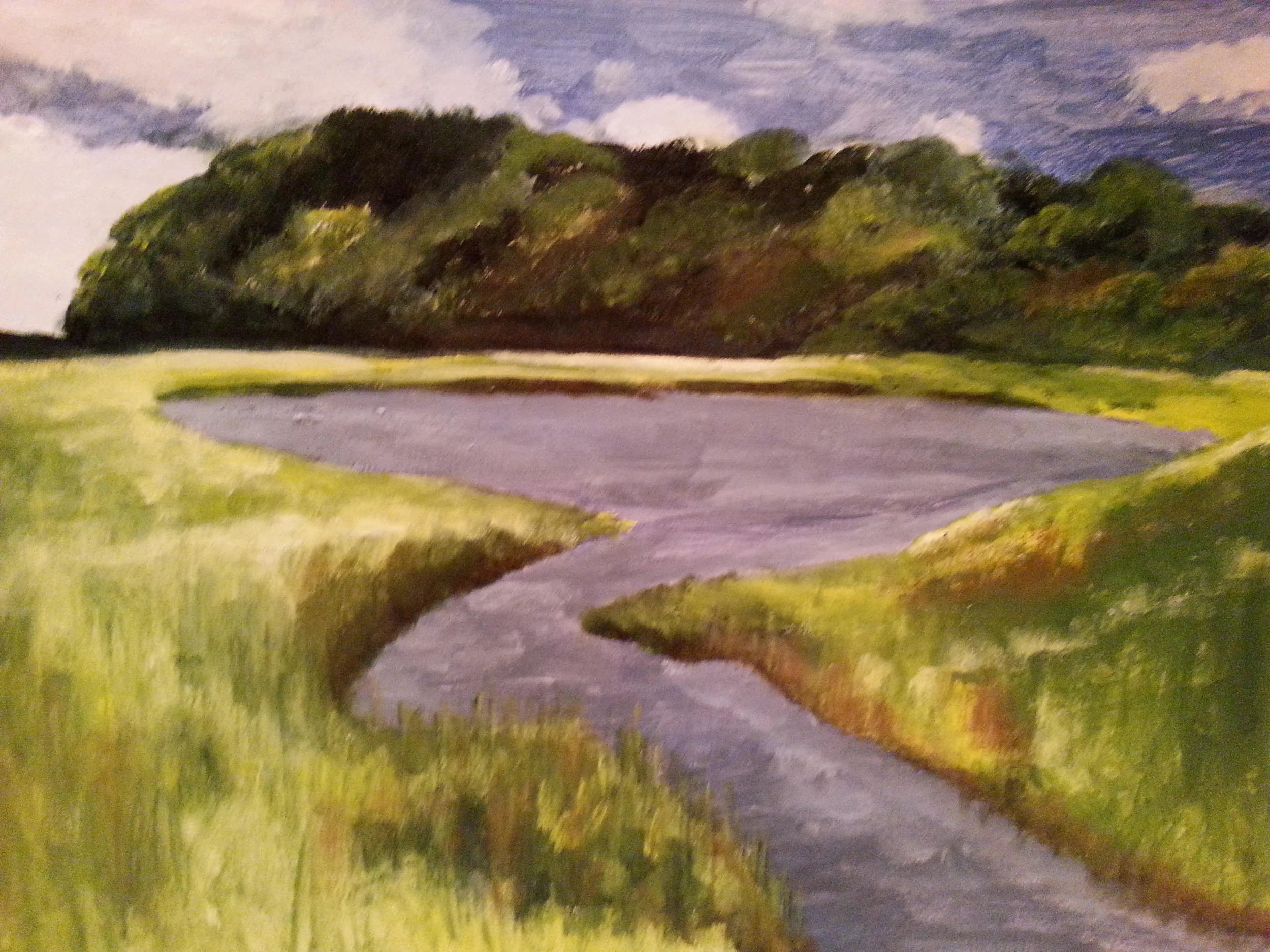 Cedar Point Marsh