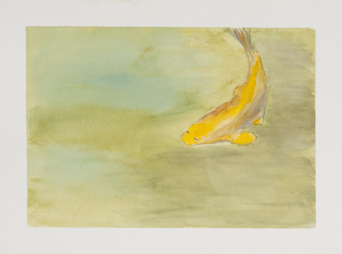 Koi
