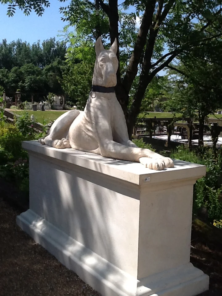 2014-06-23 14.46.12.jpg