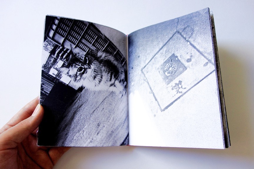 Jason Jaworski Sea Photo Zine