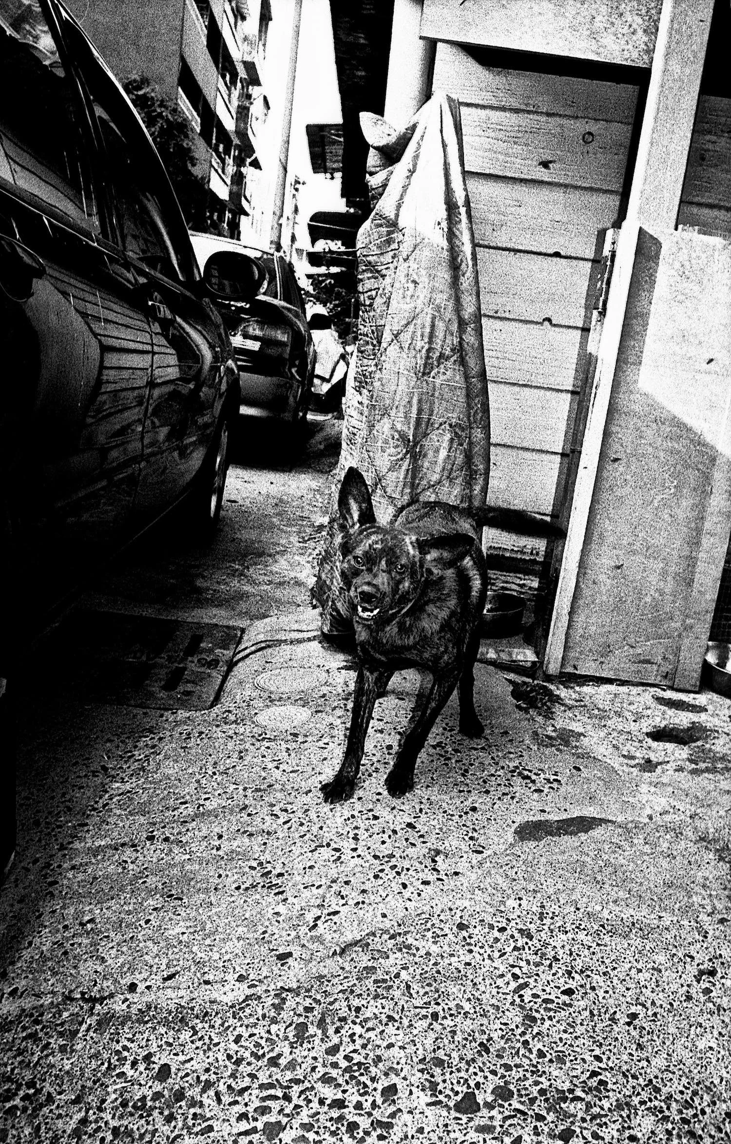 jason-jaworski-rome-alone-5- 12.jpg