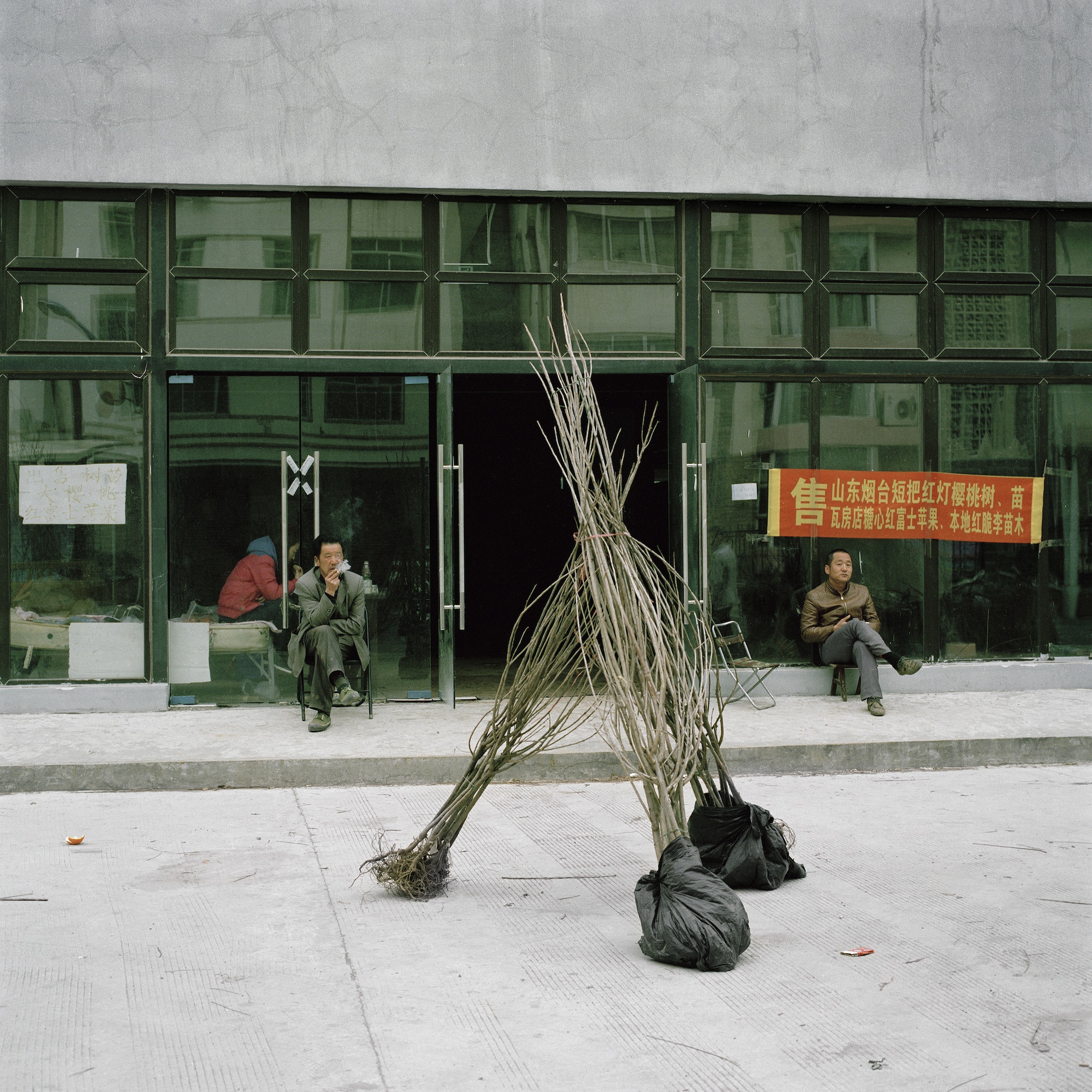 Tree Sellers from Northern China in front of their Temporarily Rented Warehouse, Wenchuan, Sichuan, China March 2016