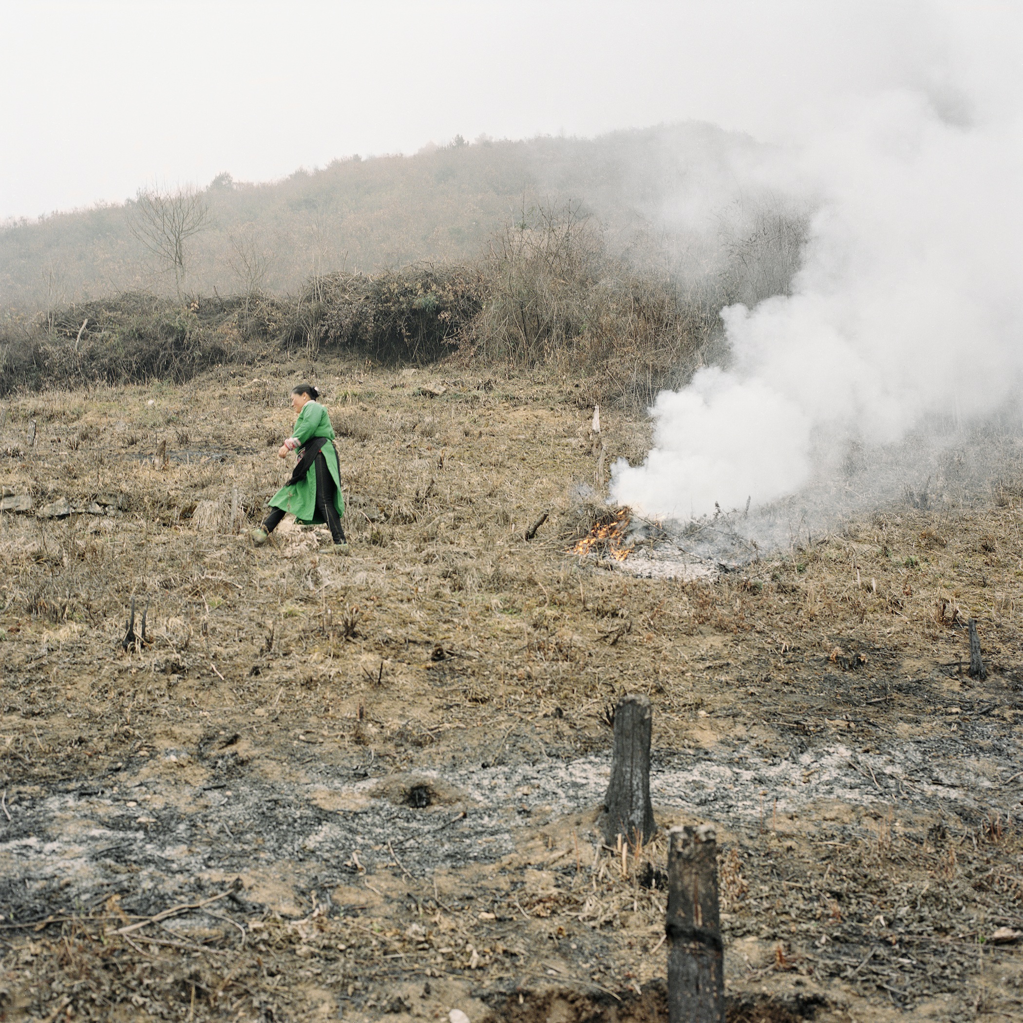 Burning Wild Grass on Deserted Farmland, Radish Village, Sichuan, China, March 2016