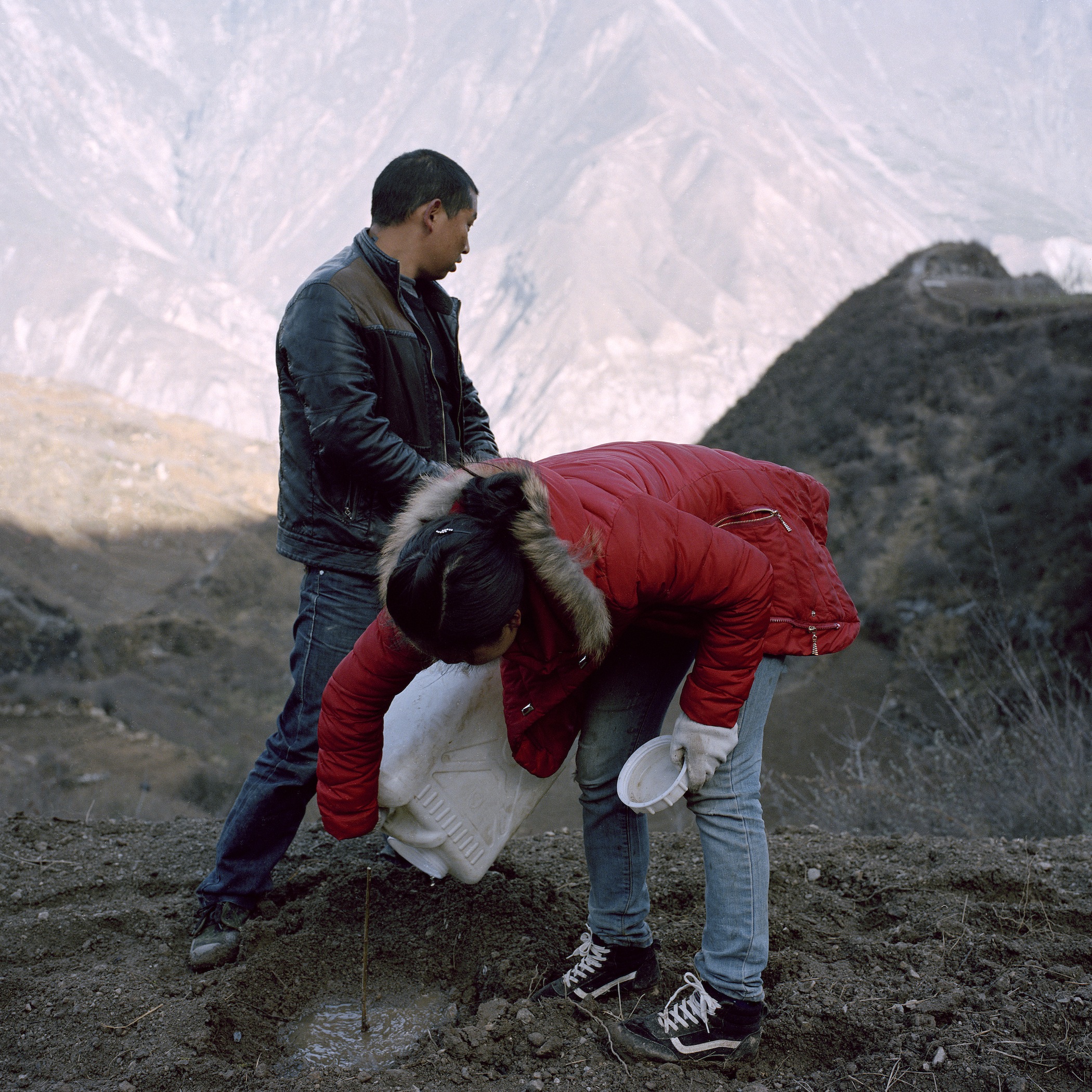 Ma and his Wife Planting Plum Trees, Radish Village, Sichuan, China, April 2016