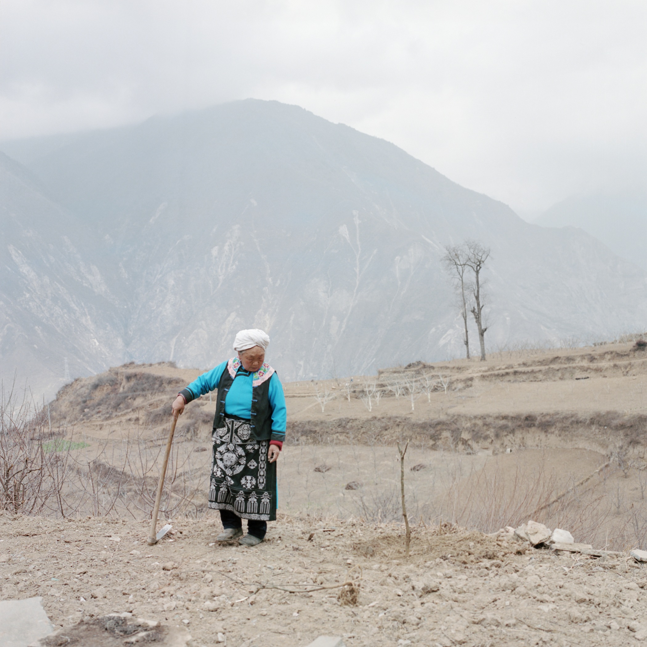 Woman Planting Pepper Tree at the Site of her Old House, Radish Village, Sichuan, China, March 2016