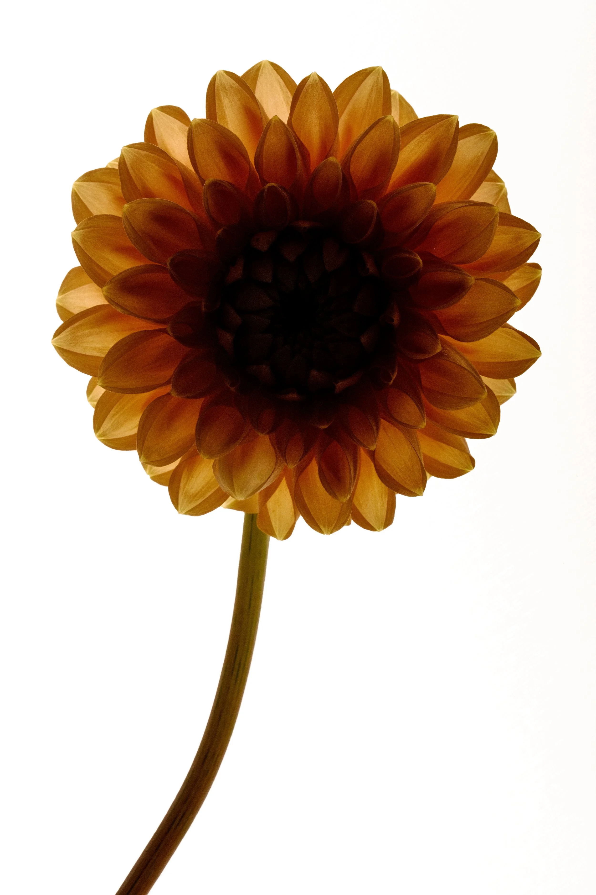 DSCF5851.jpg