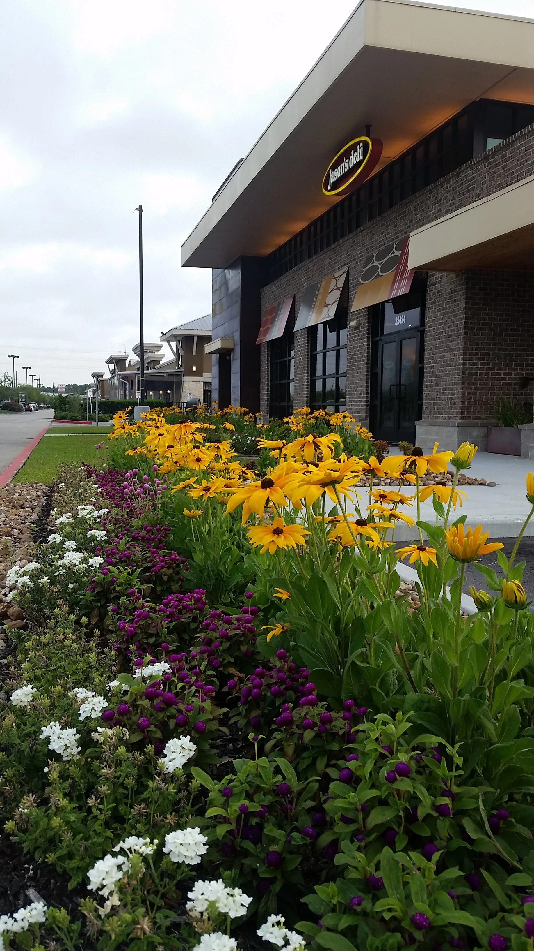 2016-05-24 07.07.55.jpg