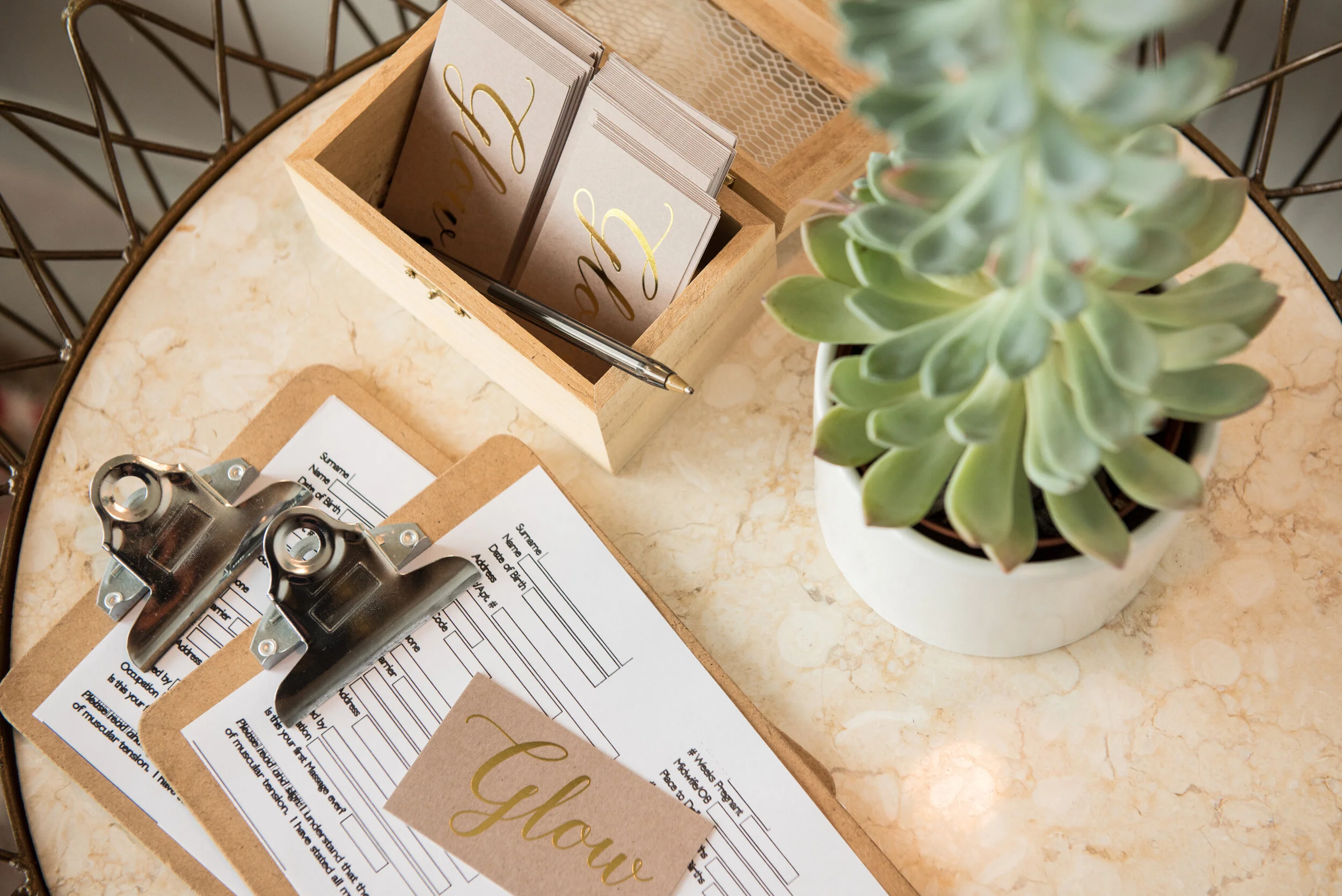 Glow-Intake-Cards-Succulent -19 copy.jpeg