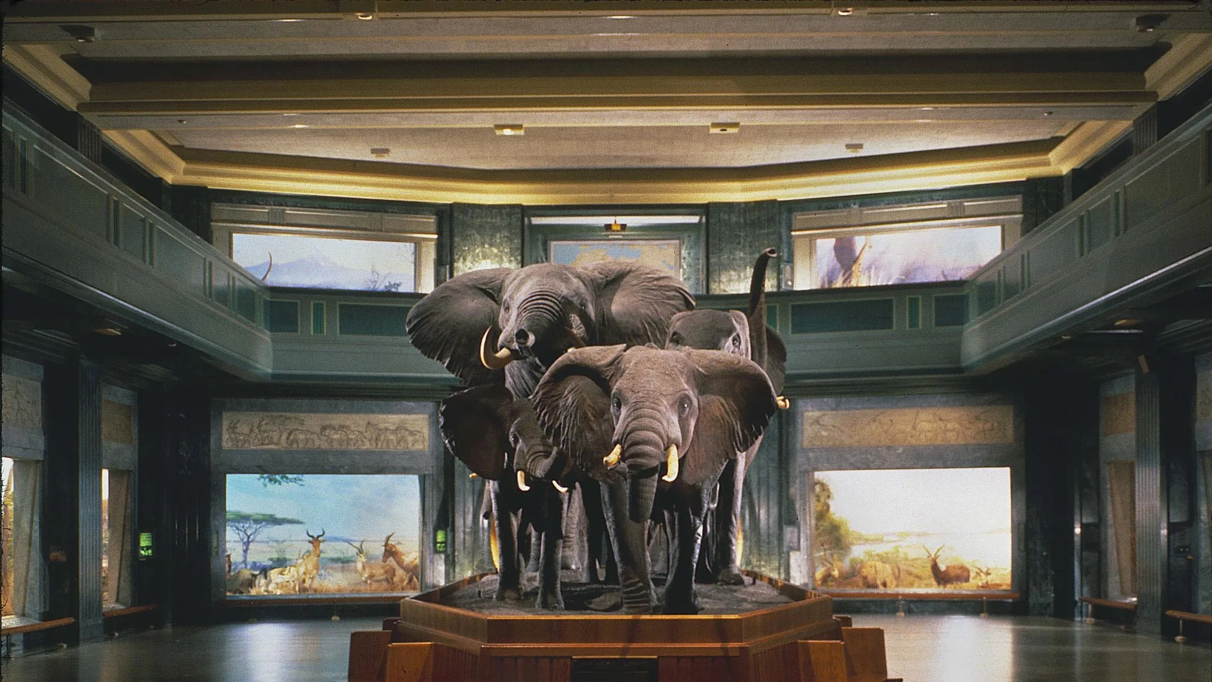 The Best Indoor Snow Day Activities on the UWS