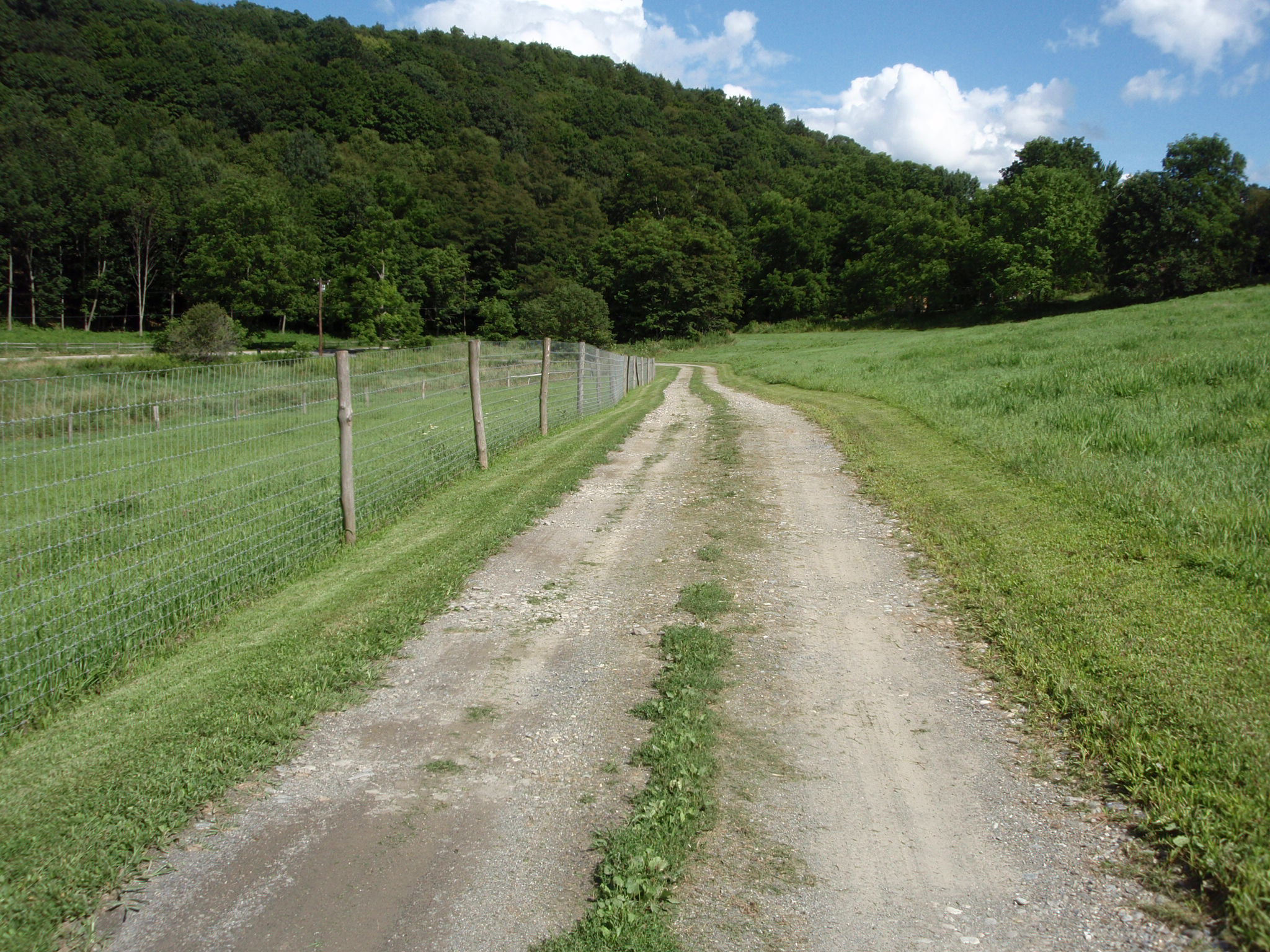Property June 2008 024.jpg