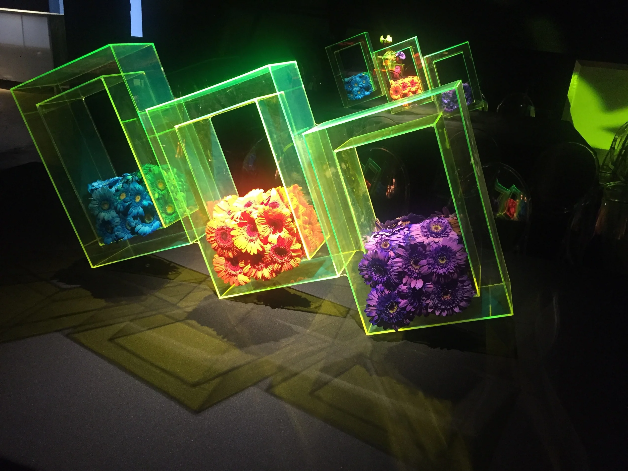 Social — Petal Productions