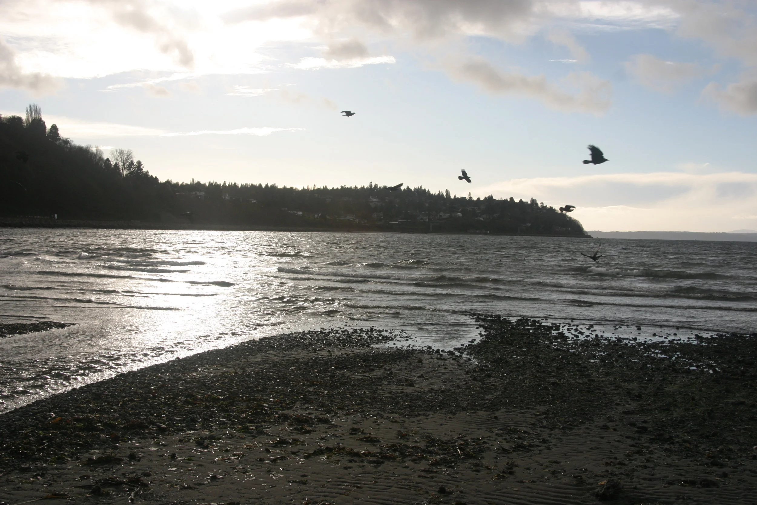 Hormones: Predictors of Disease Risk