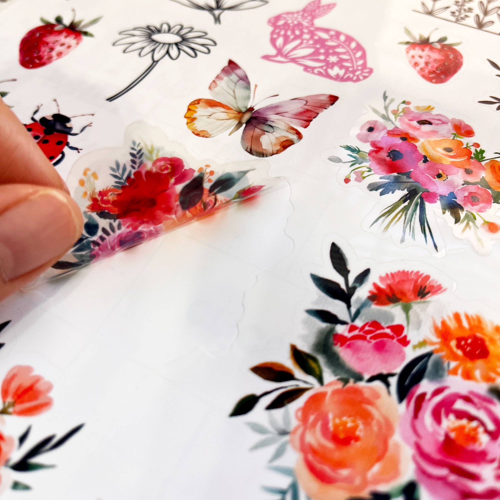 njs-240404-project-floral-stickers-main-web.jpg
