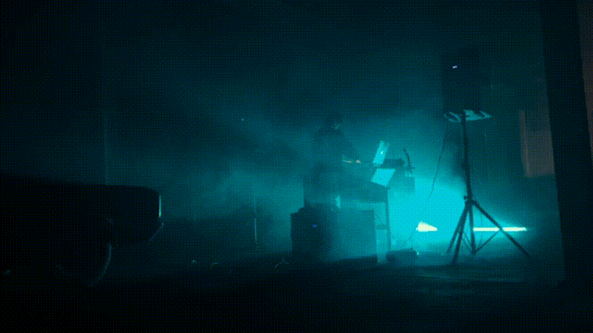 NØT TAYLØR Web Video Loop (6).gif