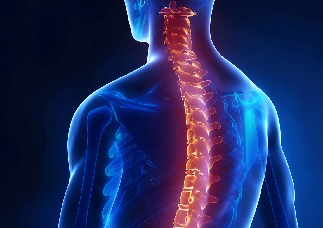 Treatments to the back, neck, and spine, such as chiropractic and physical therapy care, can sometimes last several months after a car crash.