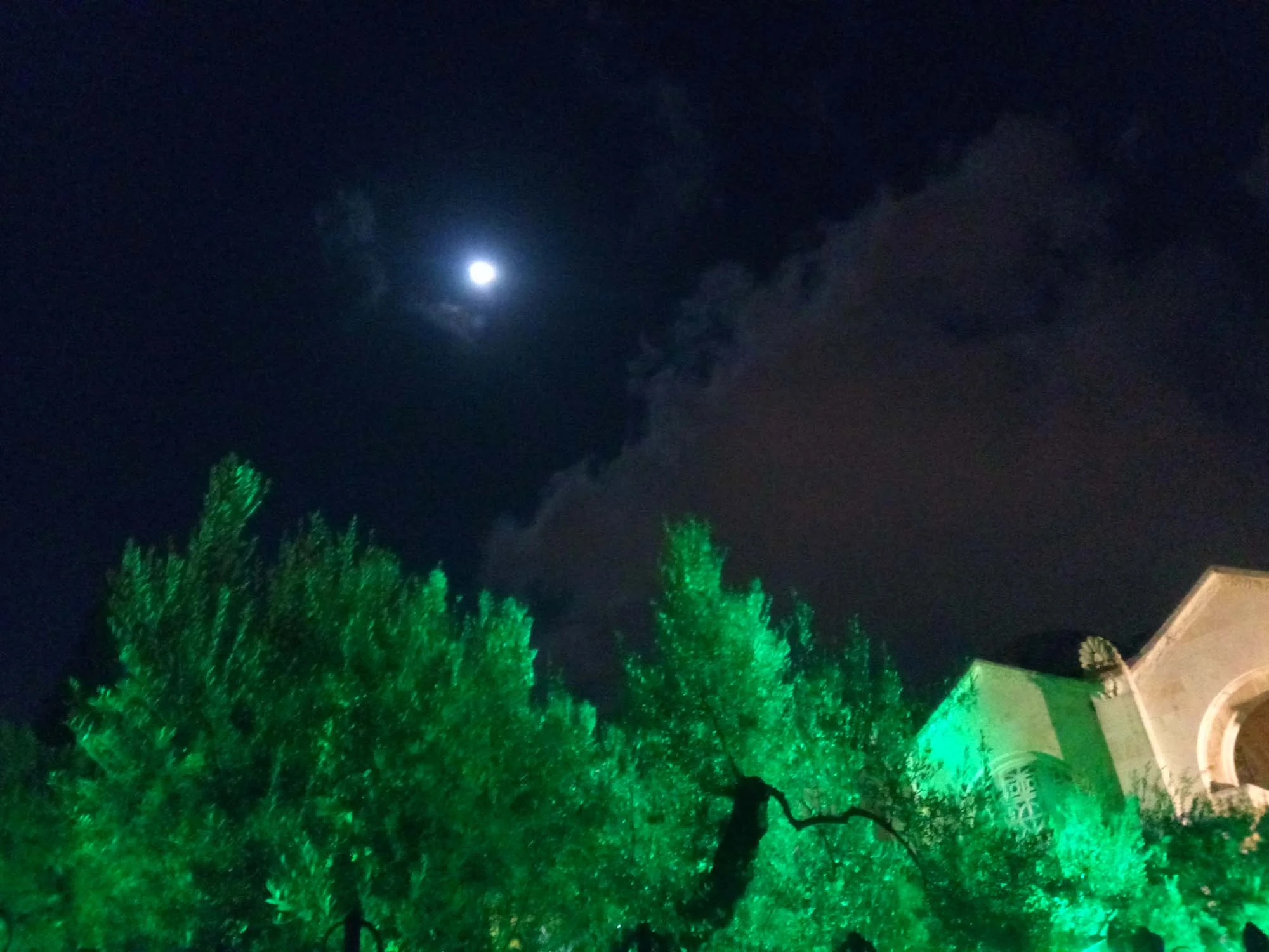IMG_20180329_204314.jpg