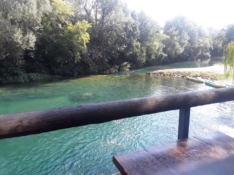 20180818_102435.jpg