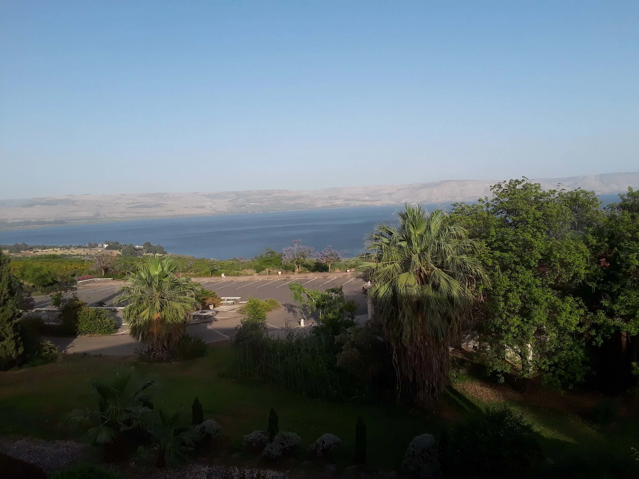 20190602_180957.jpg