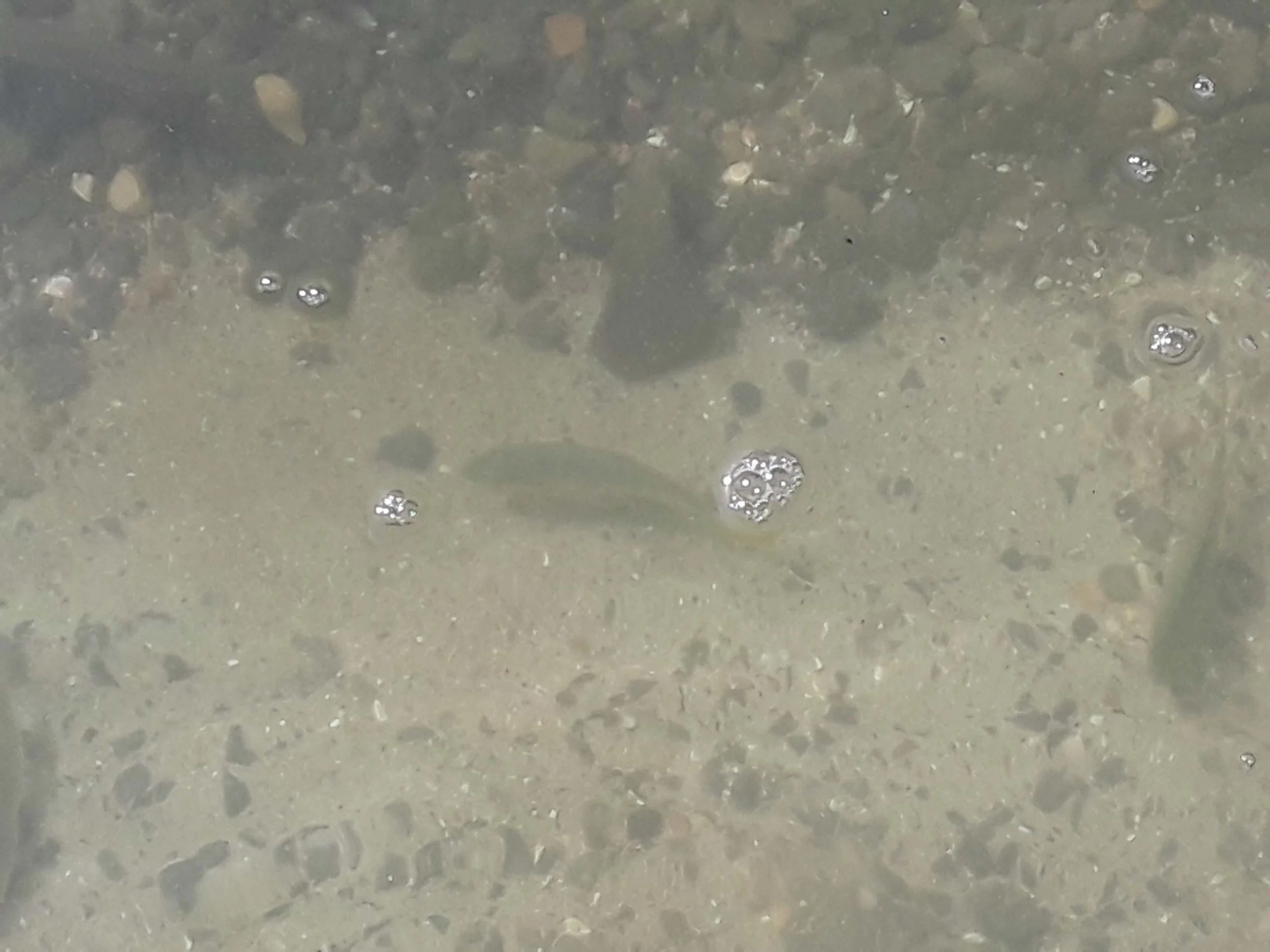20190603_093933.jpg