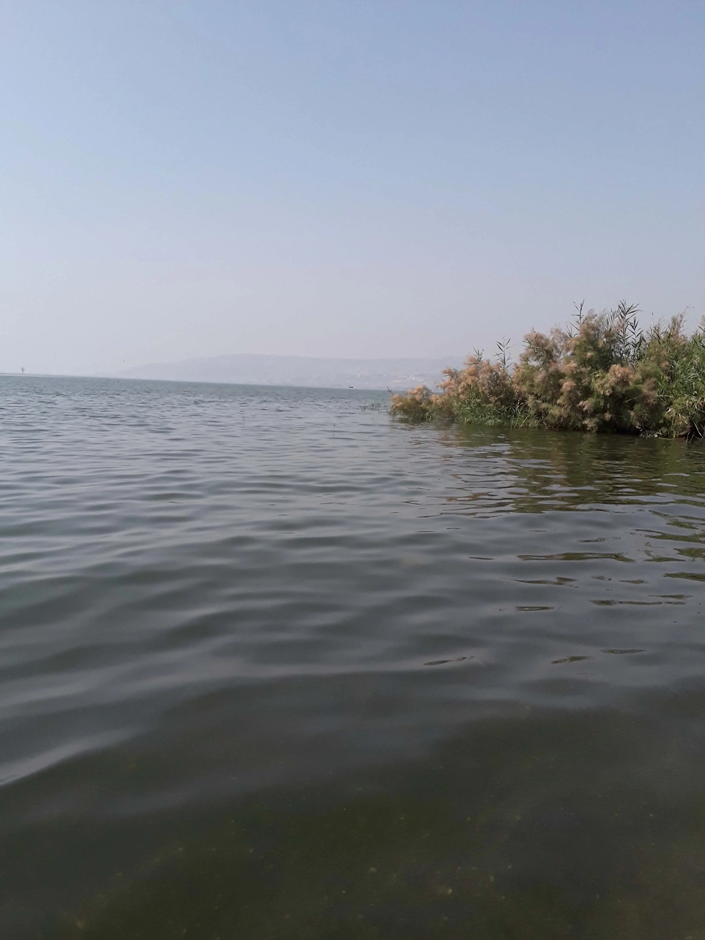 20190603_094244.jpg