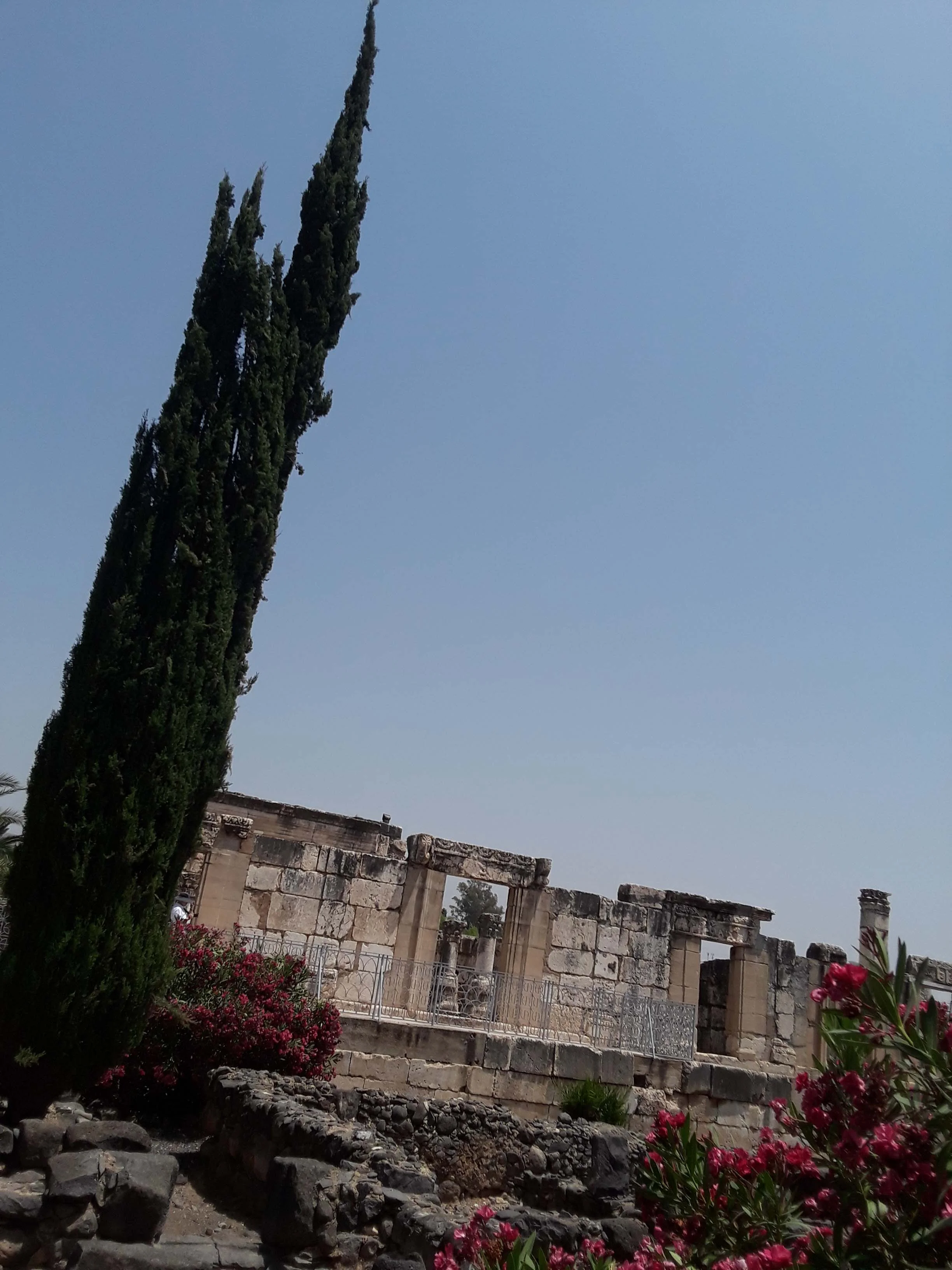 20190603_113451.jpg