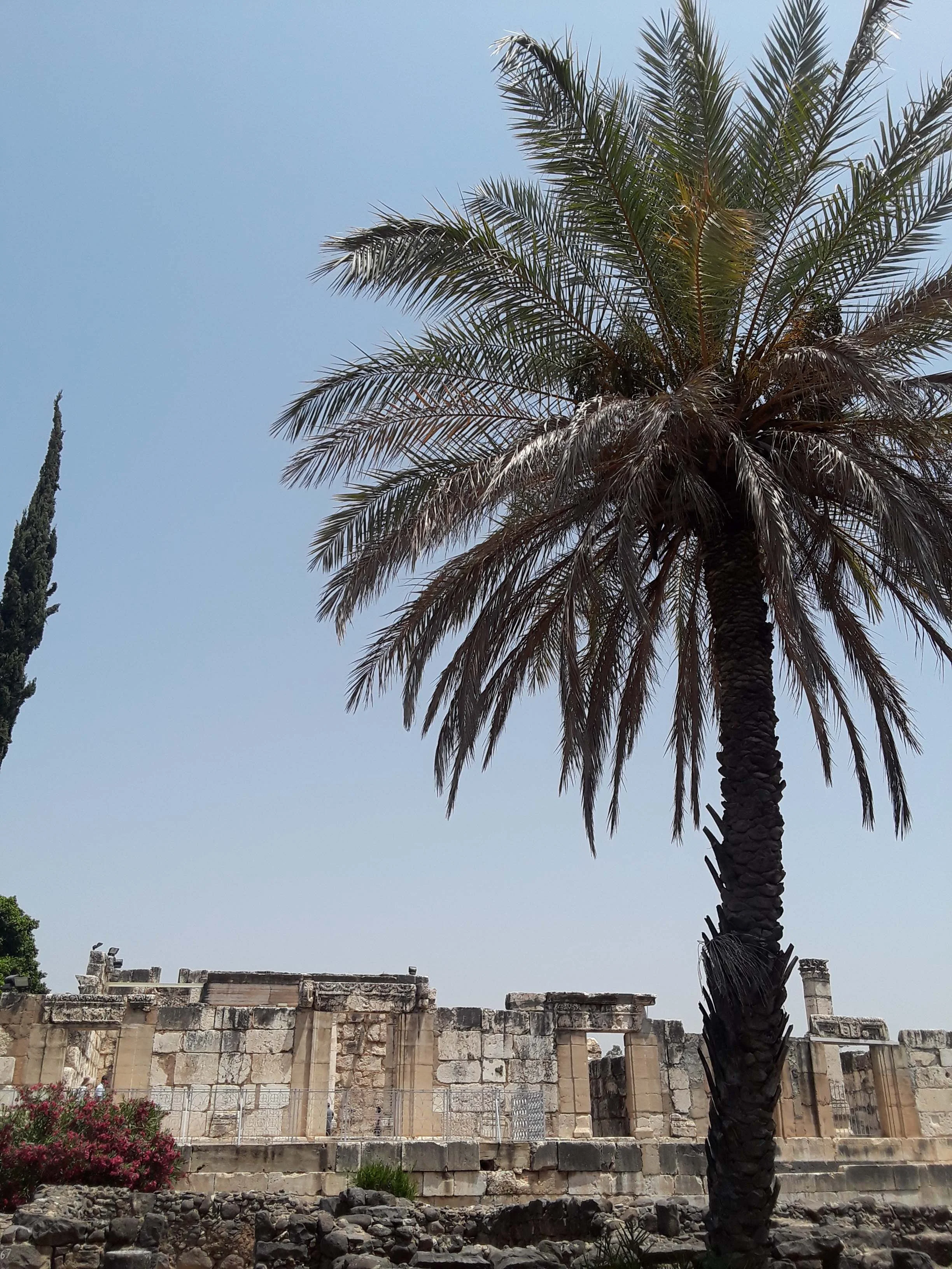 20190603_113556.jpg