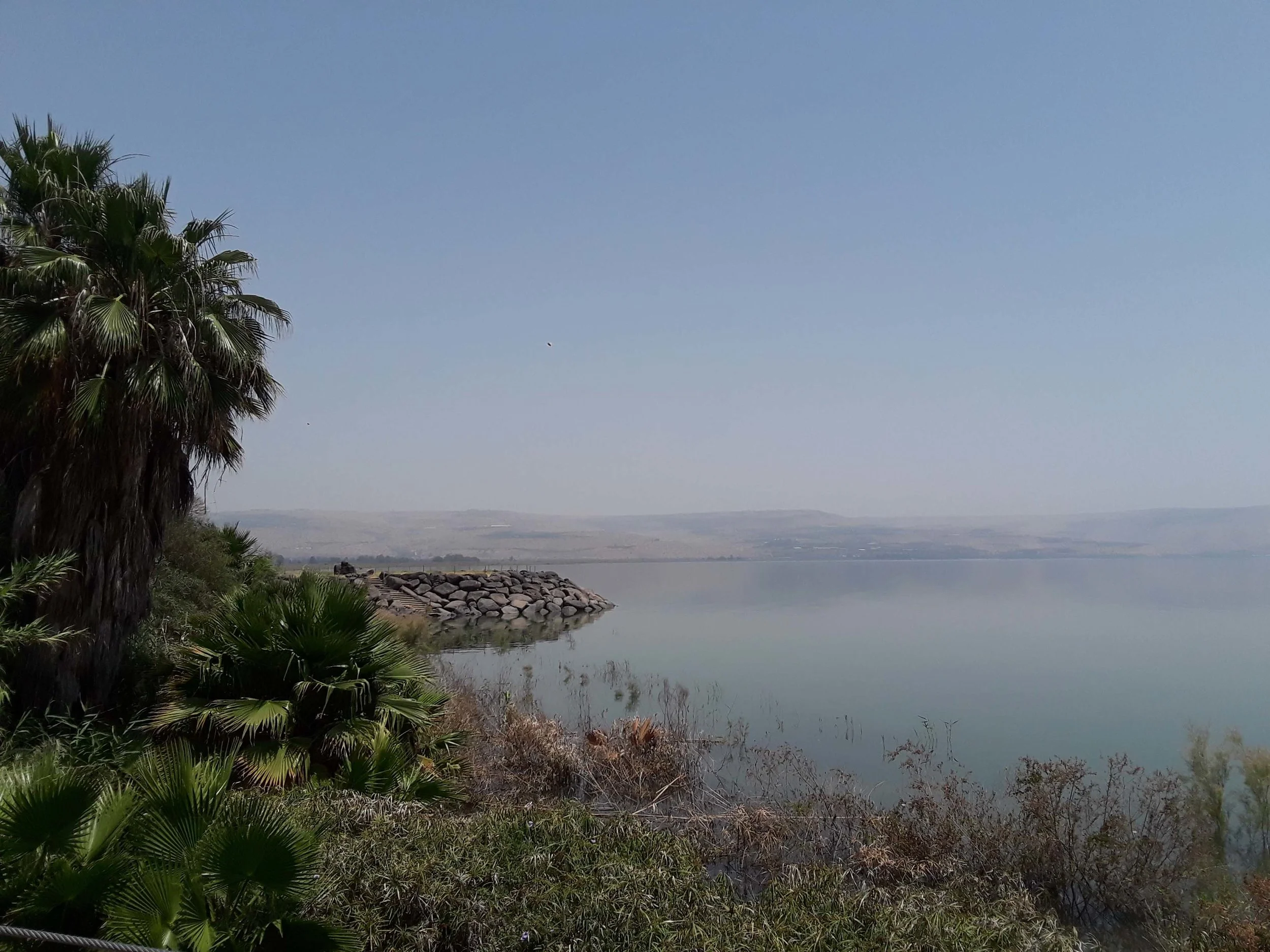 20190603_131528.jpg