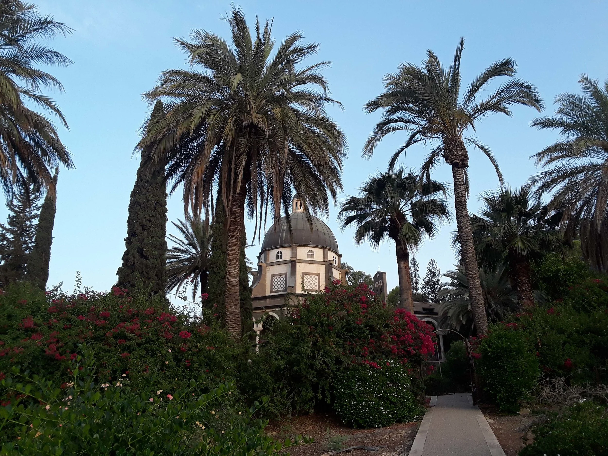 20190604_061201.jpg