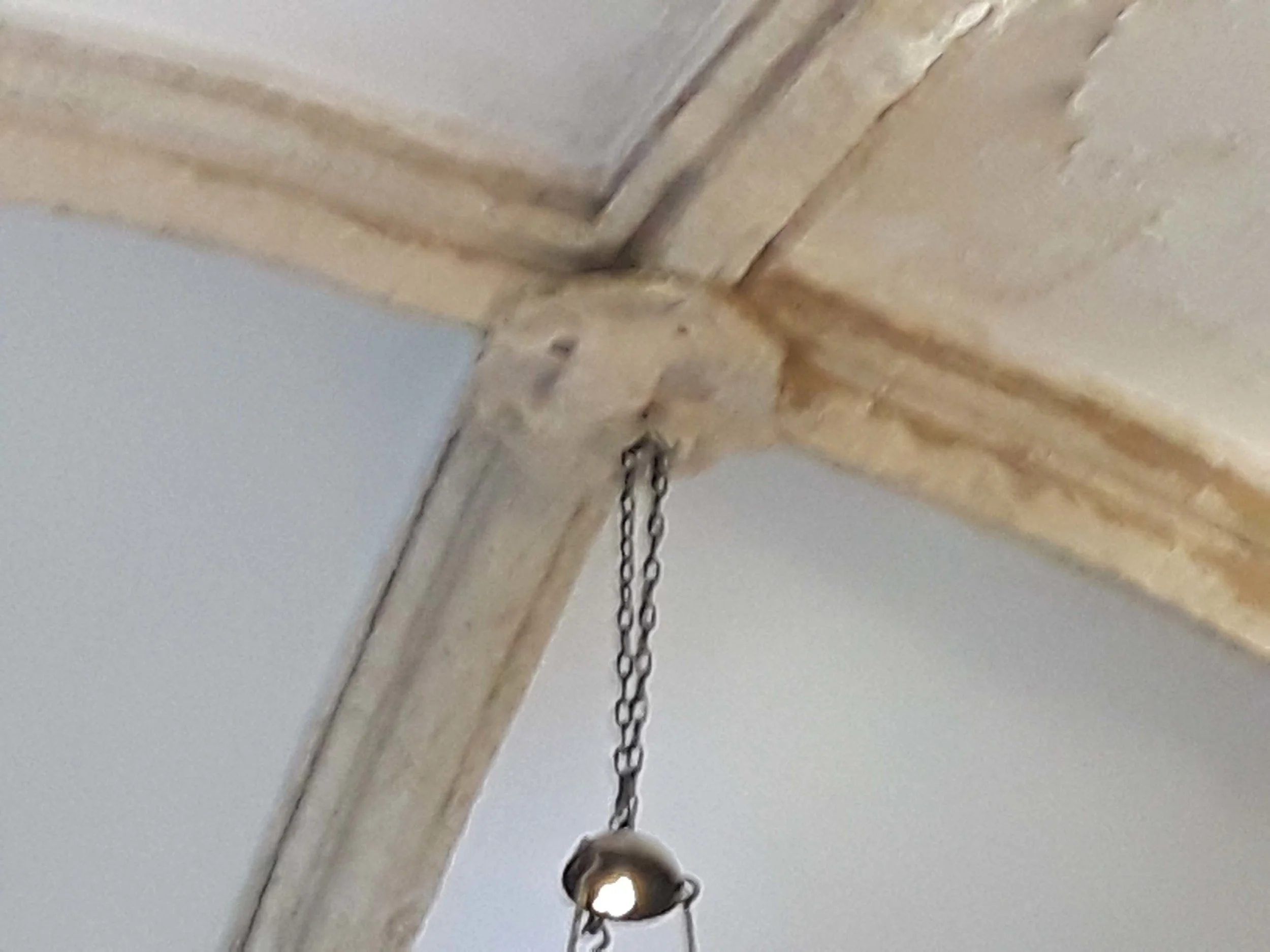 20190607_144717.jpg