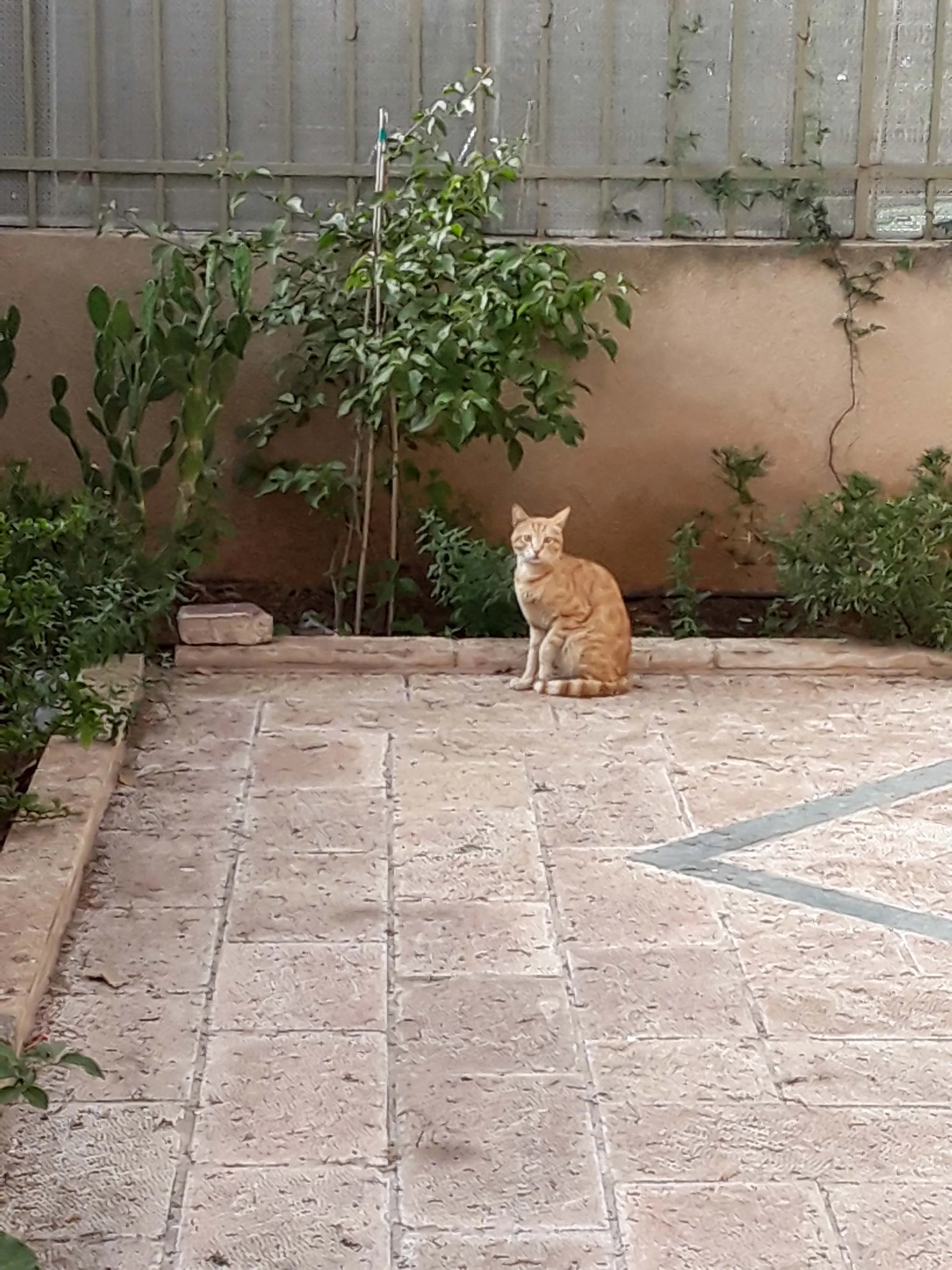 20190608_075901.jpg