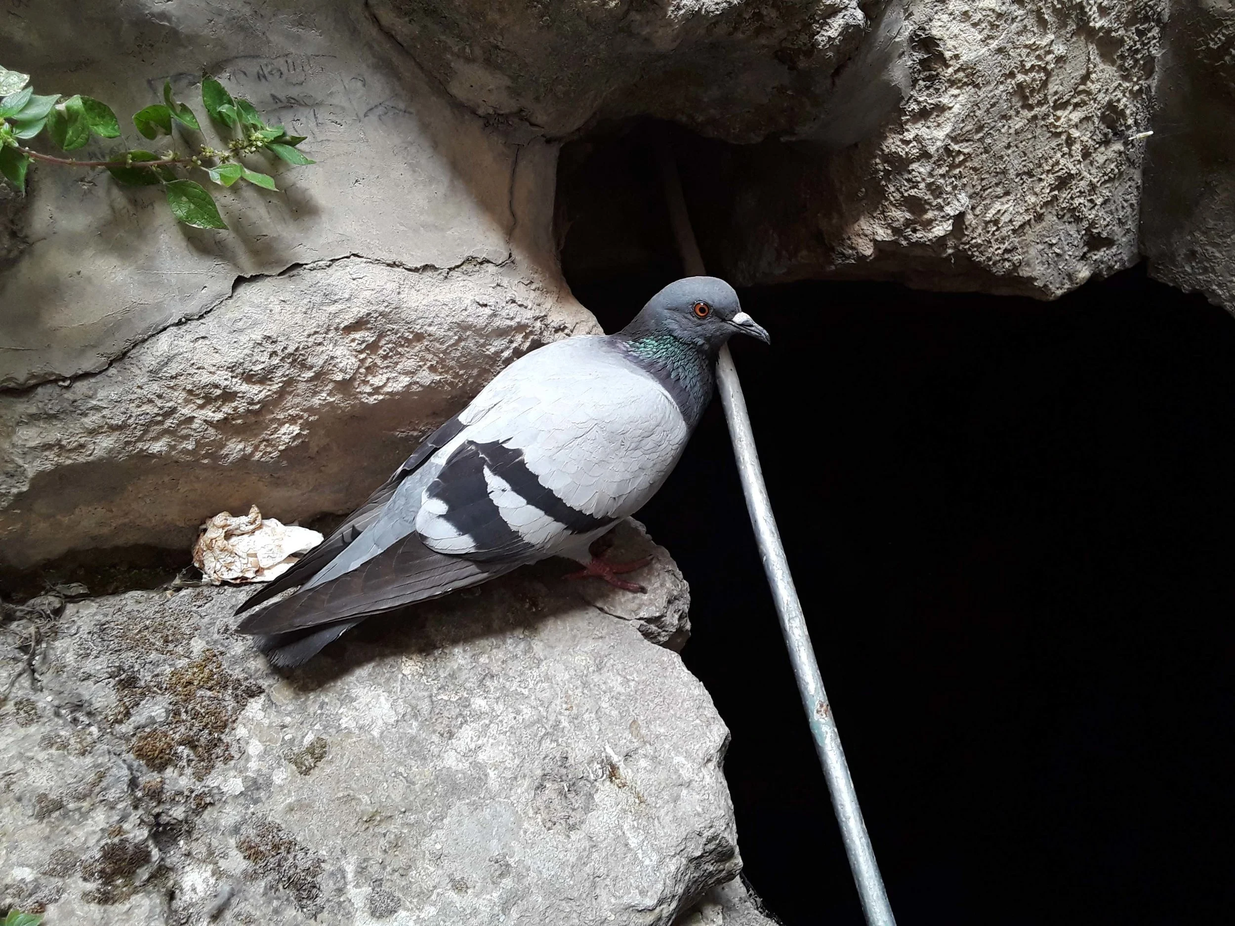 20190608_105006.jpg