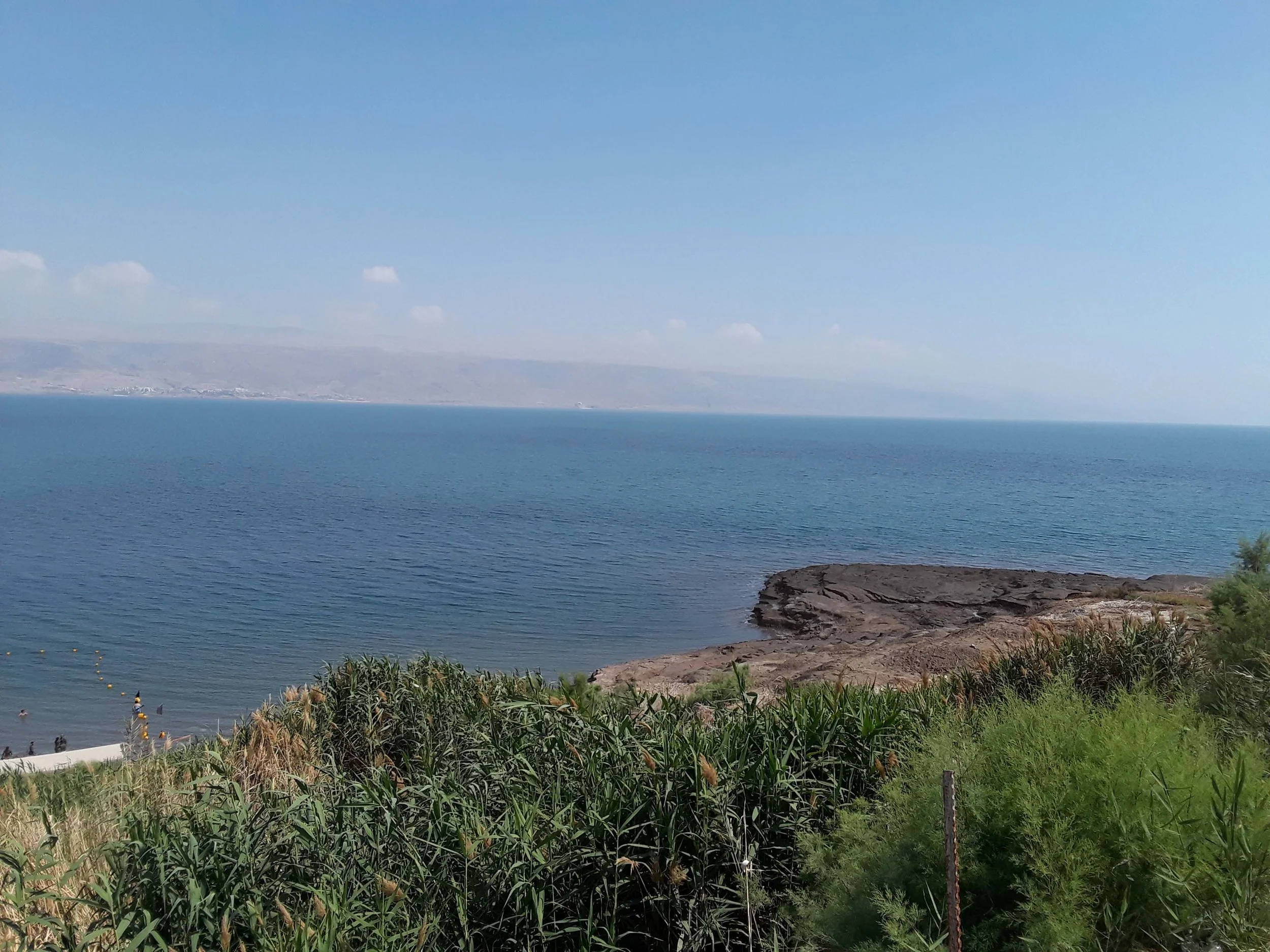 20190416_144819.jpg