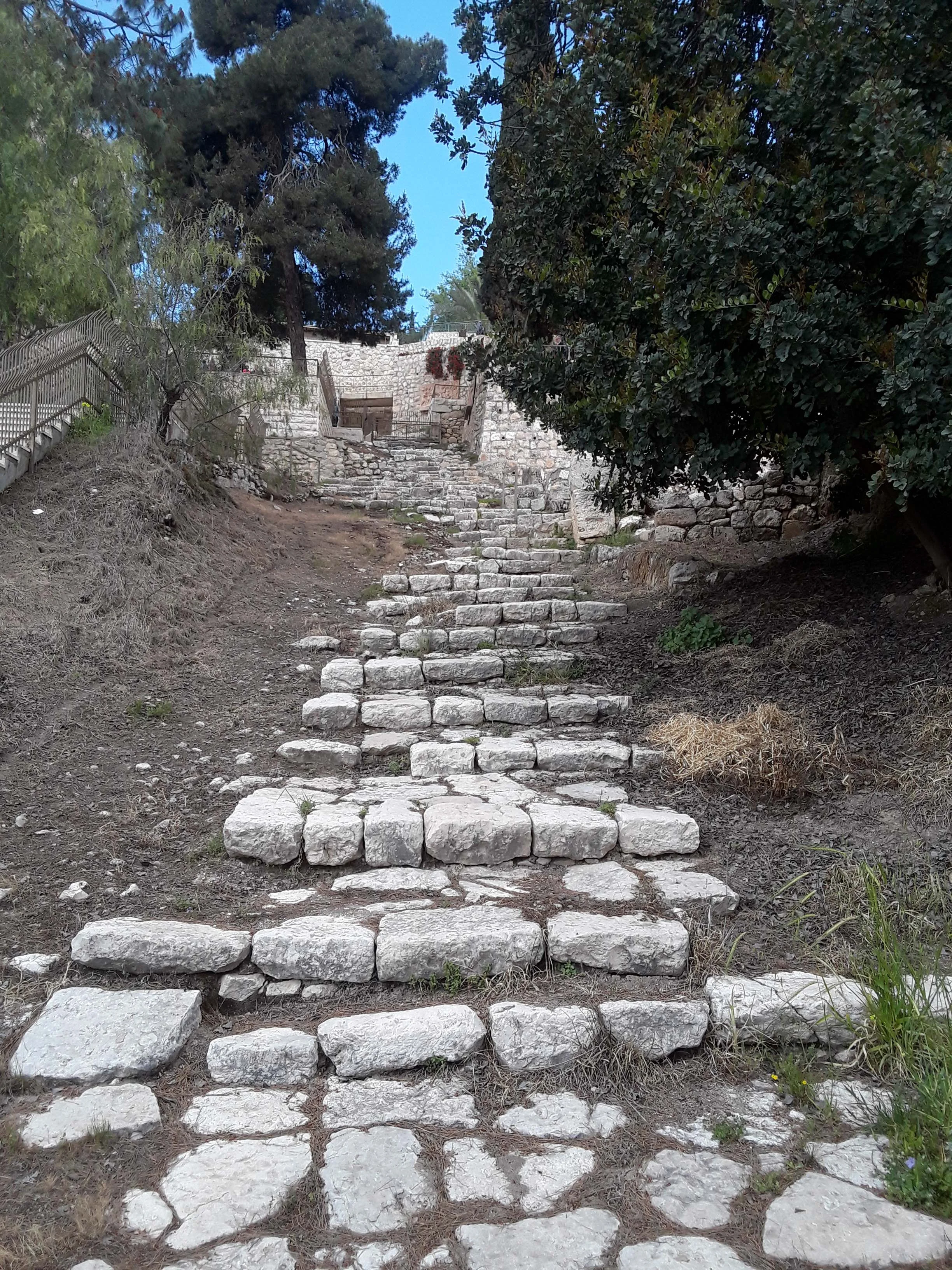 20190418_102128.jpg