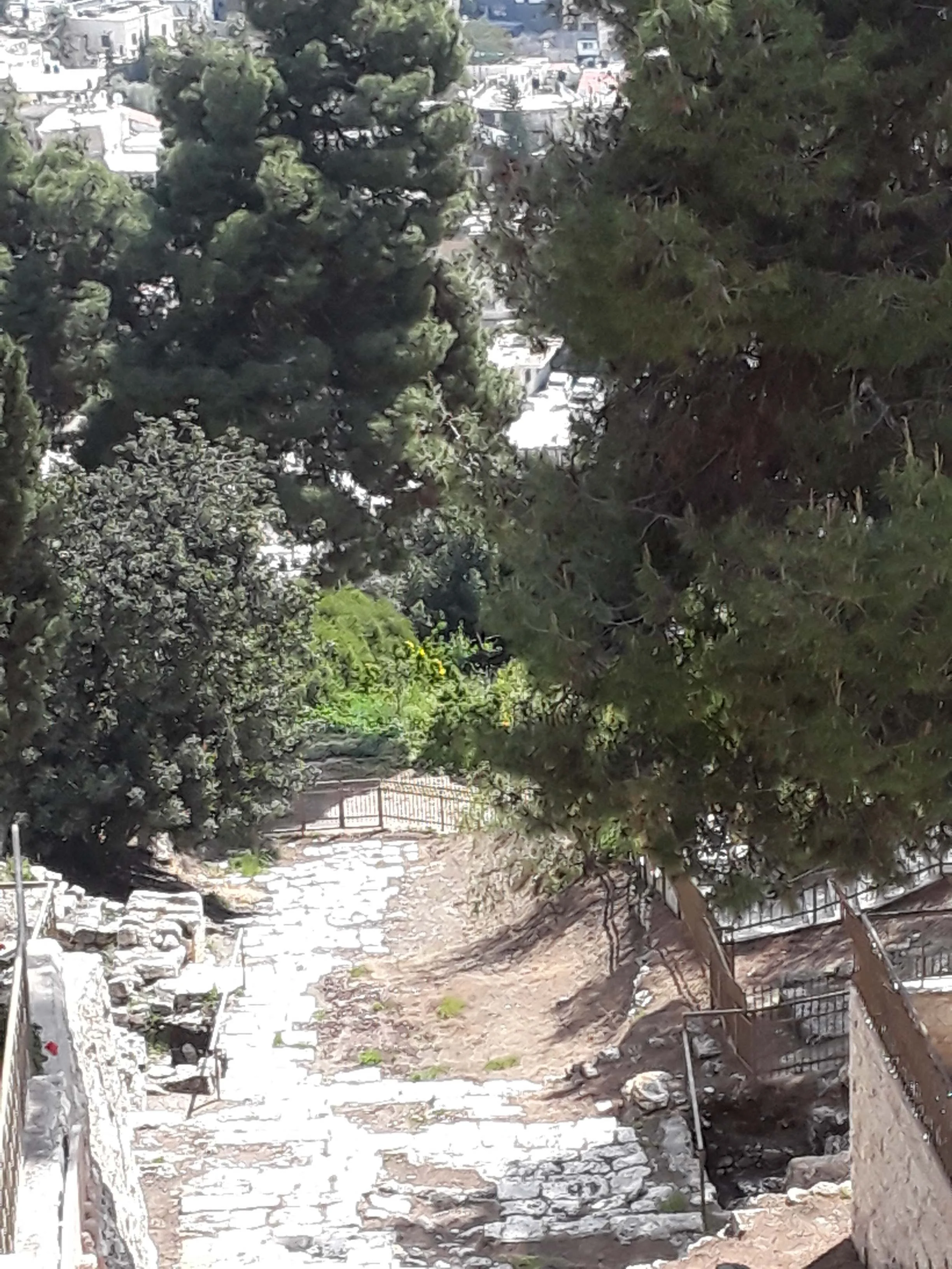 20190418_103306.jpg