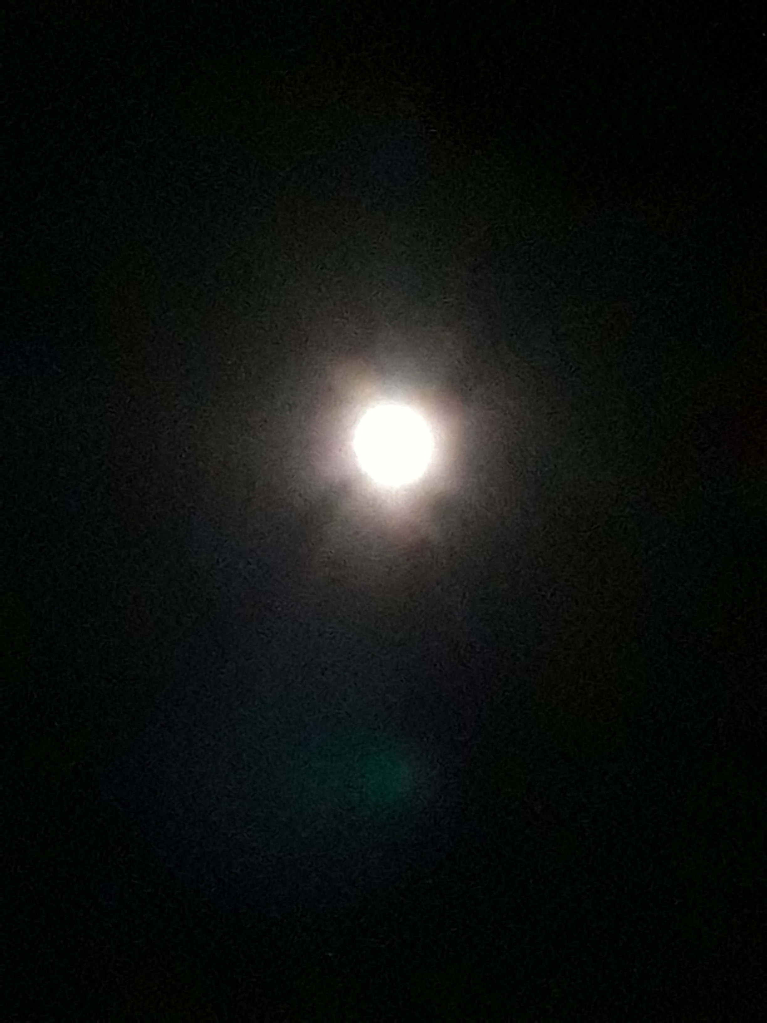 20190419_001951.jpg