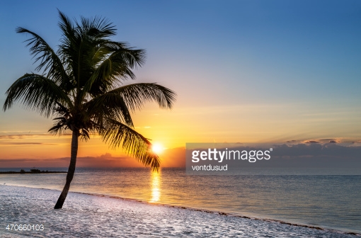 Photo by ventdusud/iStock / Getty Images
