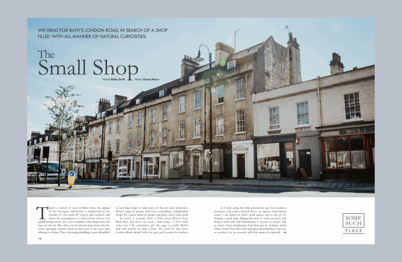 anigif Small Shop on grey.gif