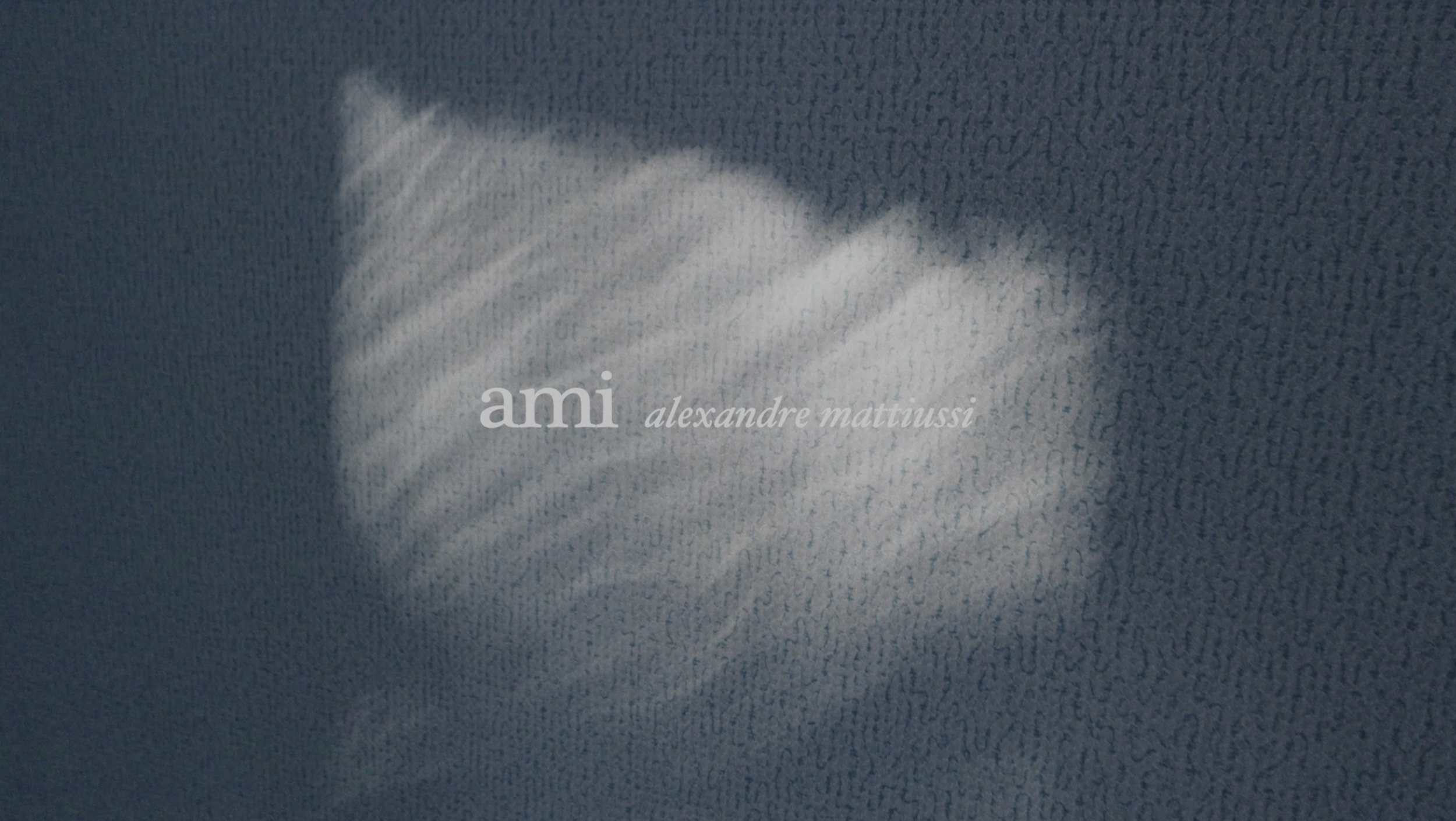 Ami - Vesitare F25 - Knitwear - Full